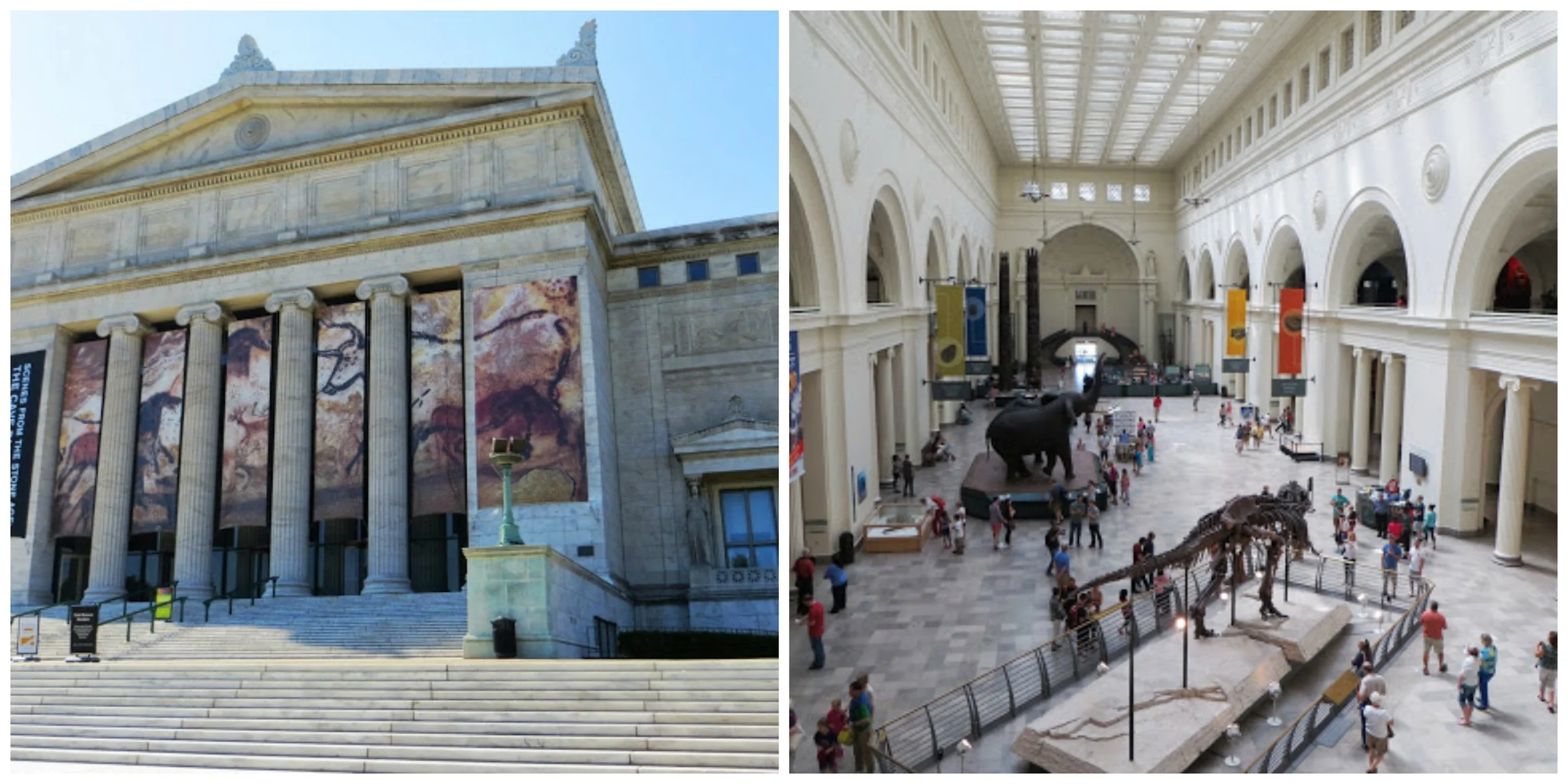 Field Museum.jpg