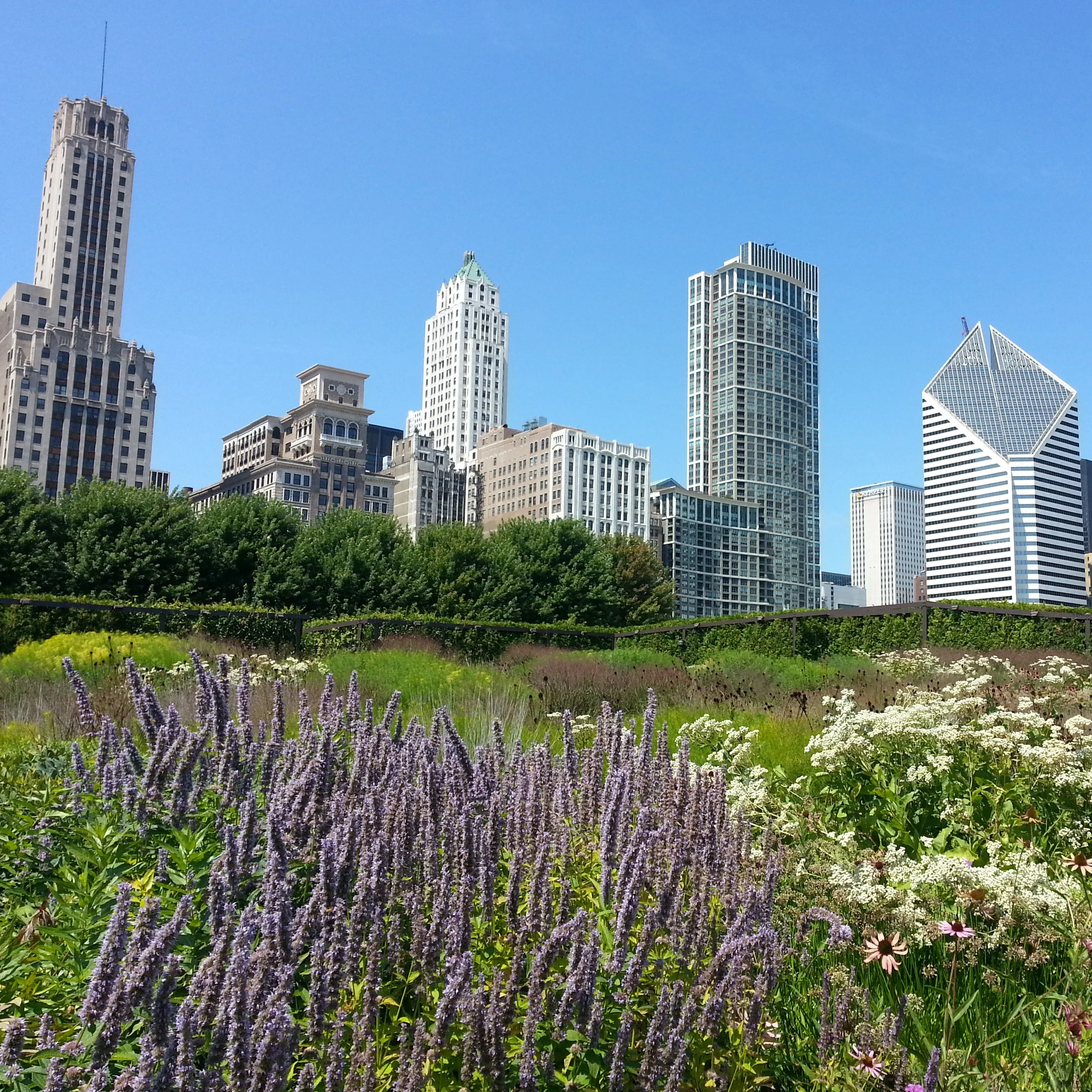 IMG_20130817_123740.jpg