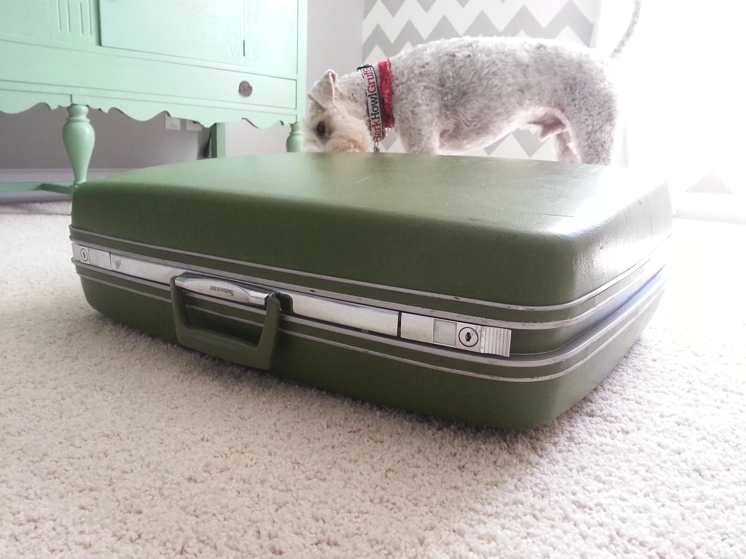 20130929_122938.jpg
