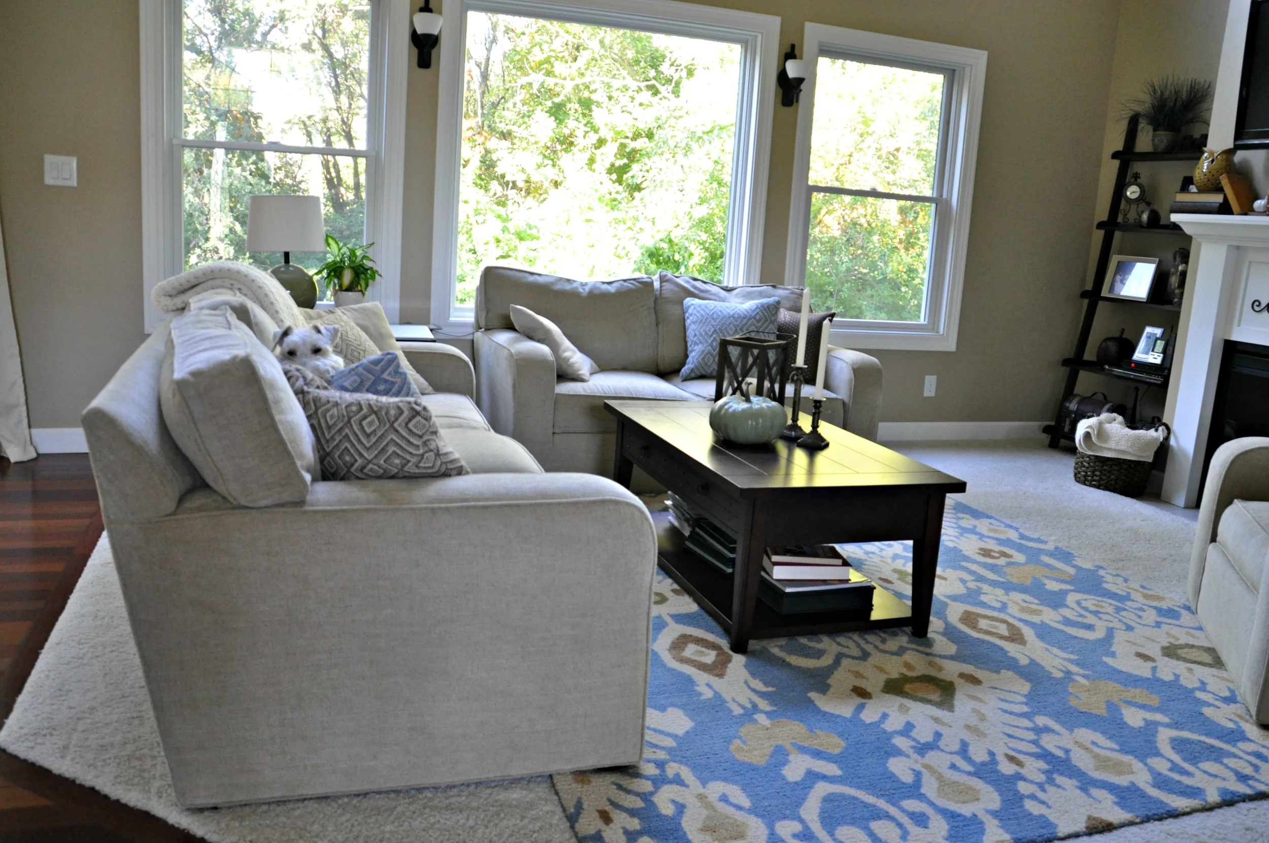 Decor and the Dog Fall Living Room.jpg