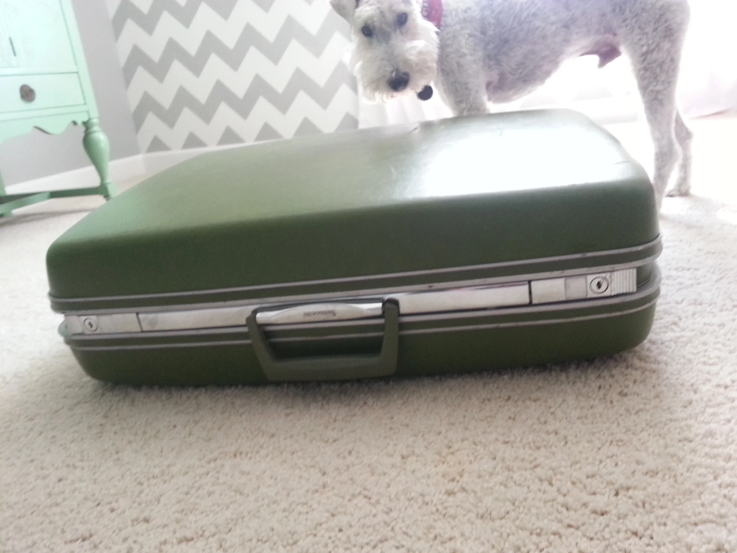 20130929_122930.jpg