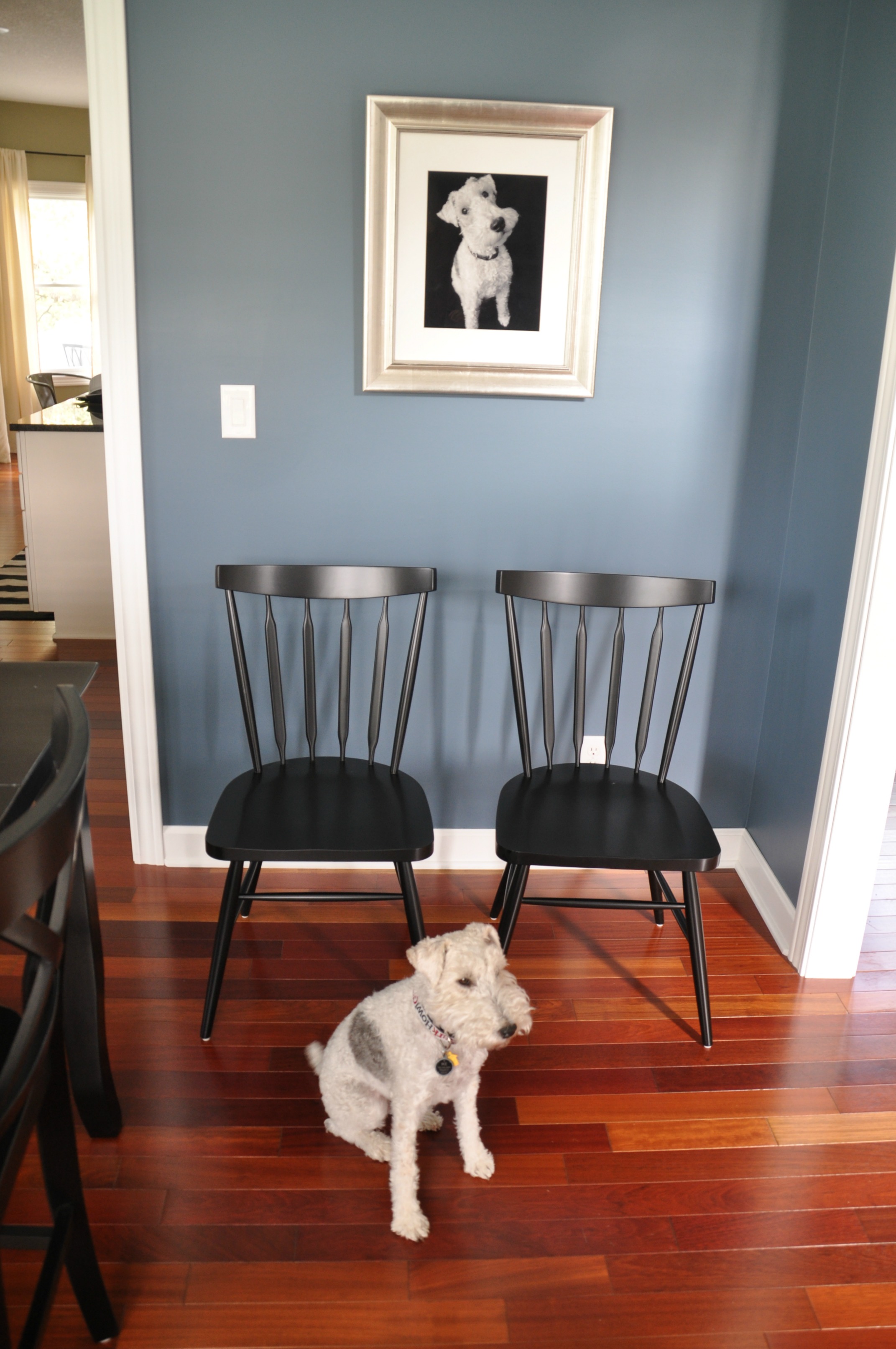 dining room chairs — decor and the dog