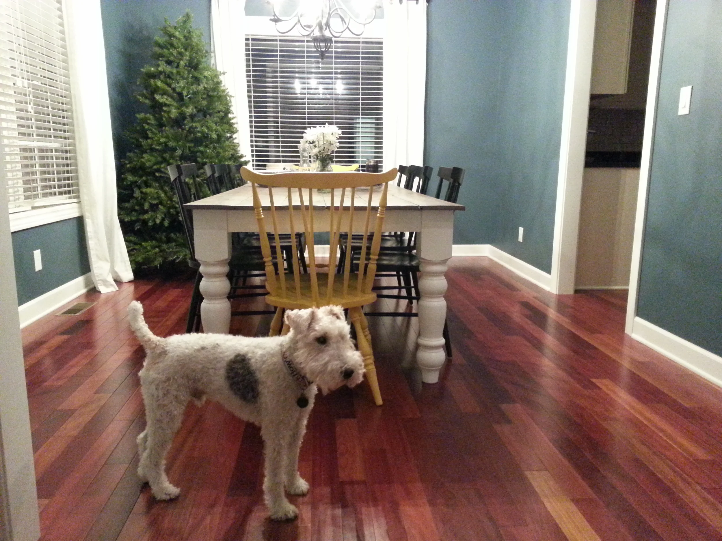 20131119_192109.jpg
