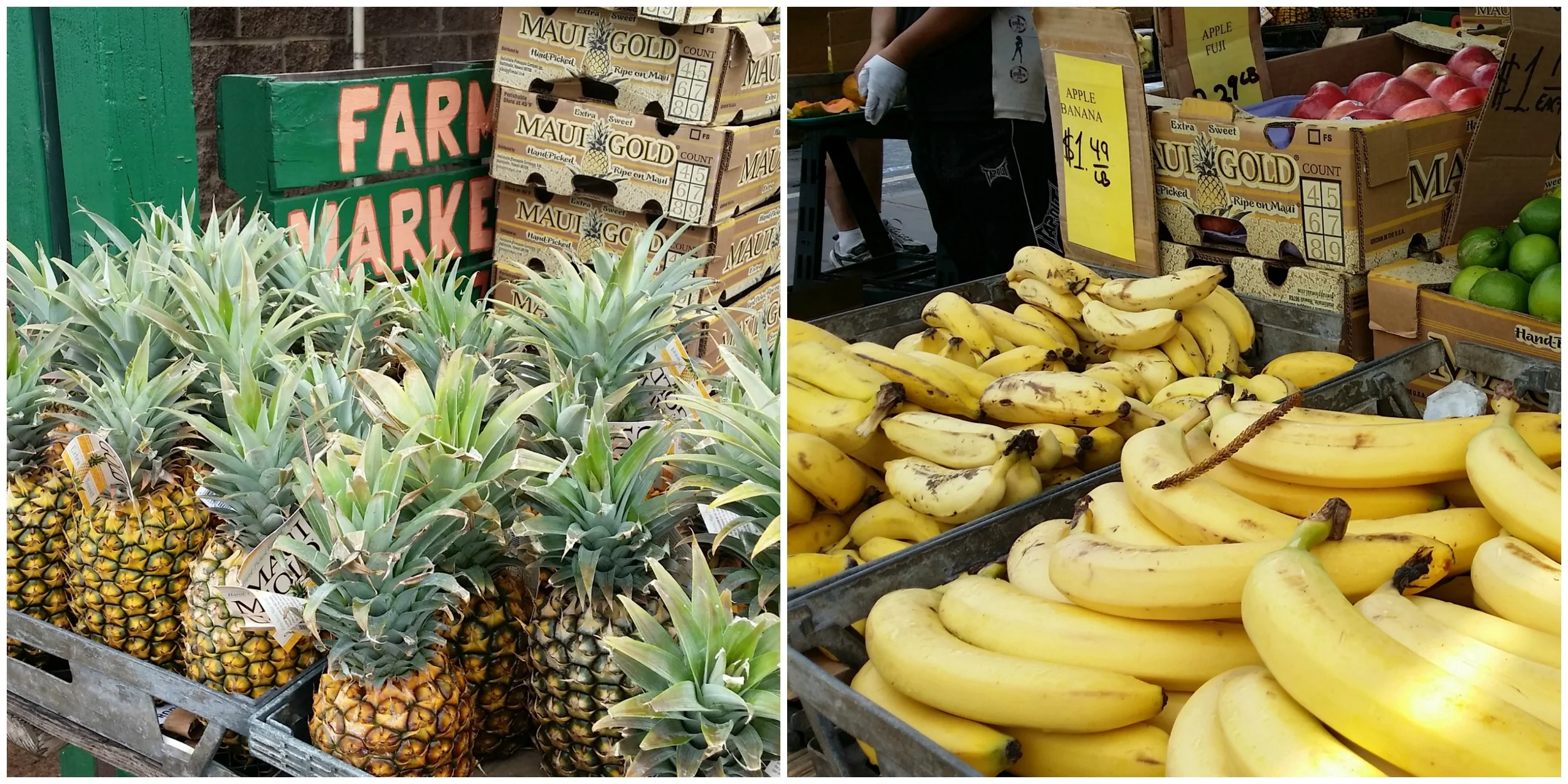 Maui Part Dos — Decor and the Dog