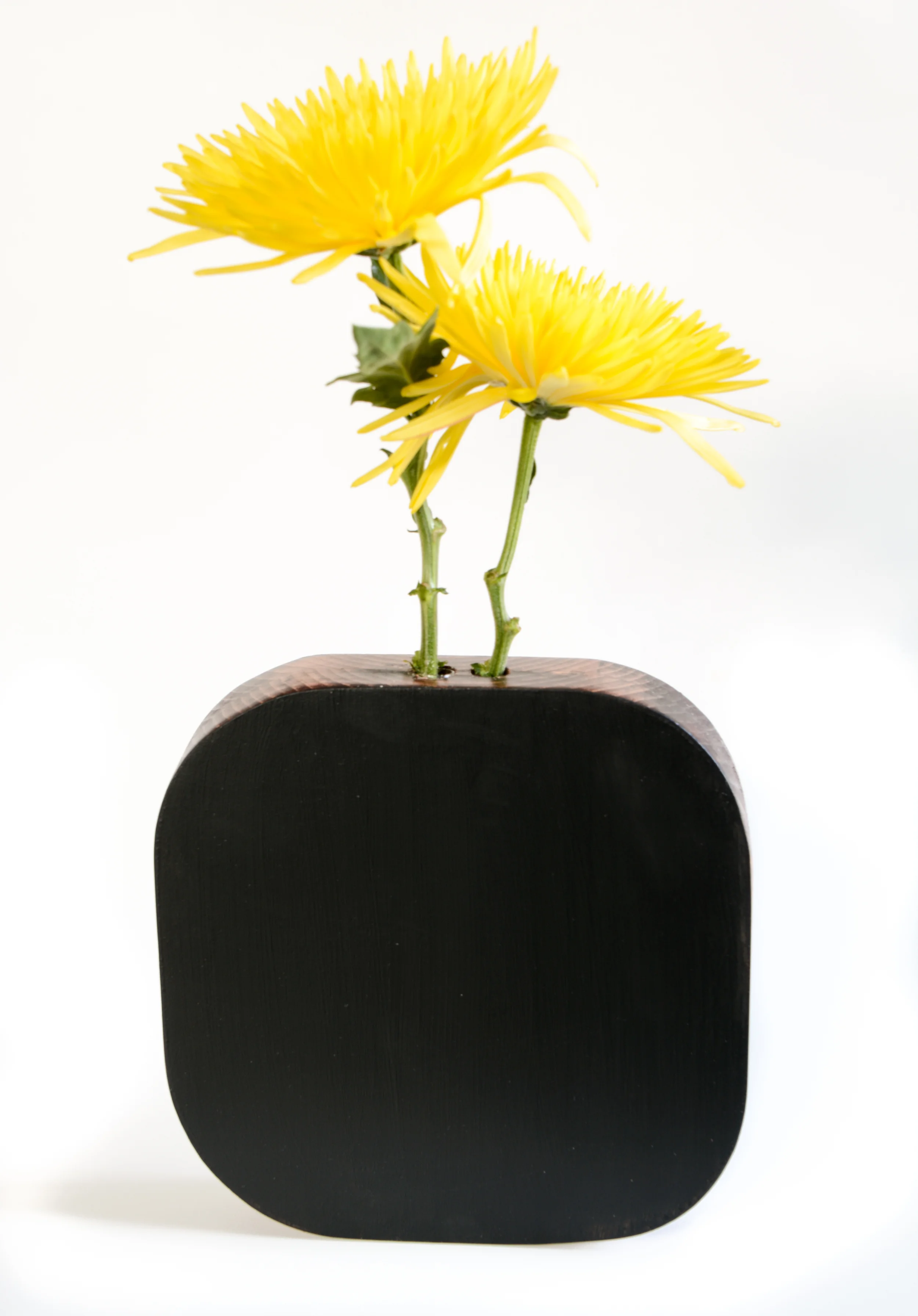 DIY Chalkboard Vase Tutorial — Decor and the Dog
