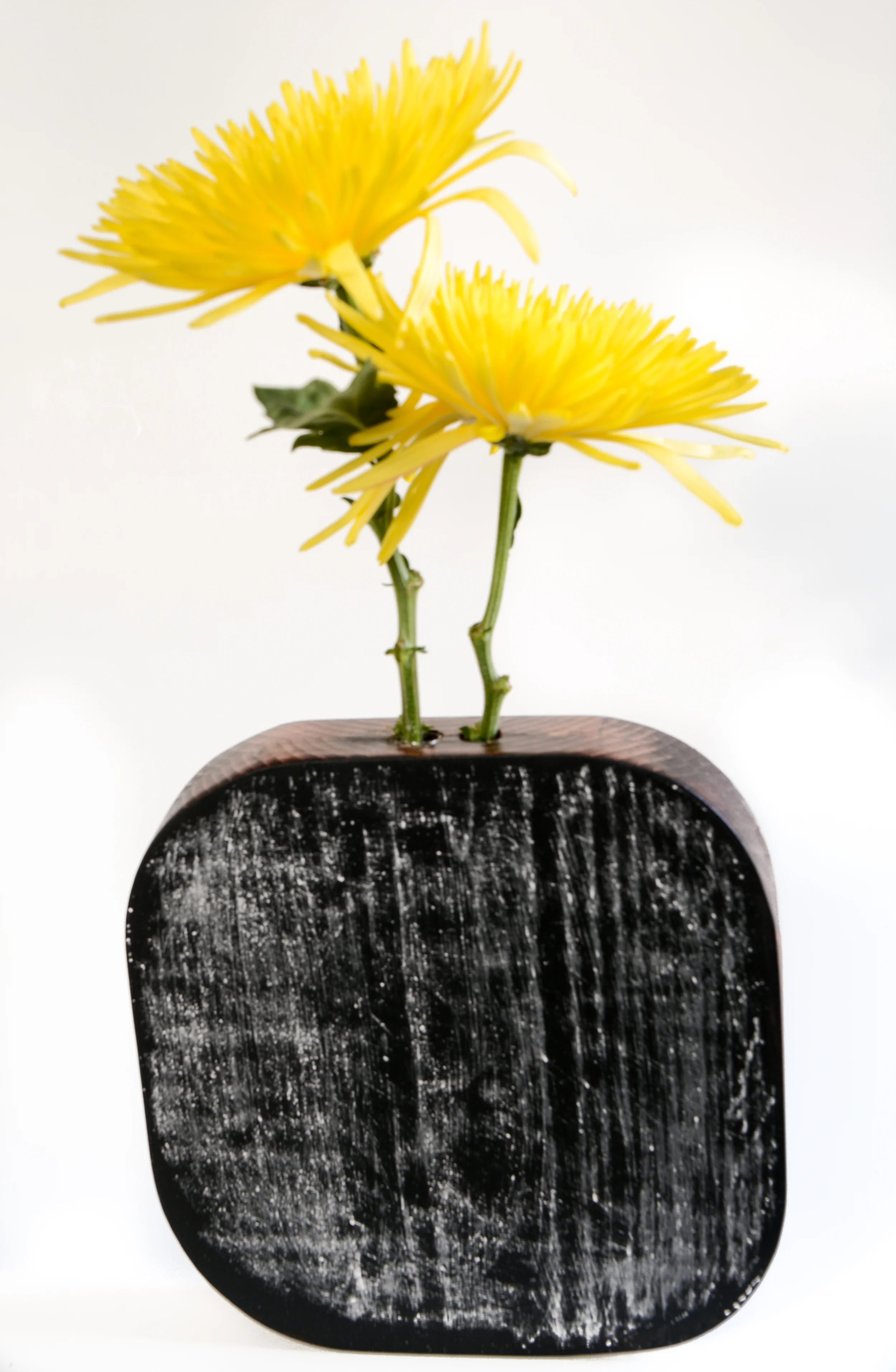 DIY Chalkboard Vase Tutorial — Decor and the Dog