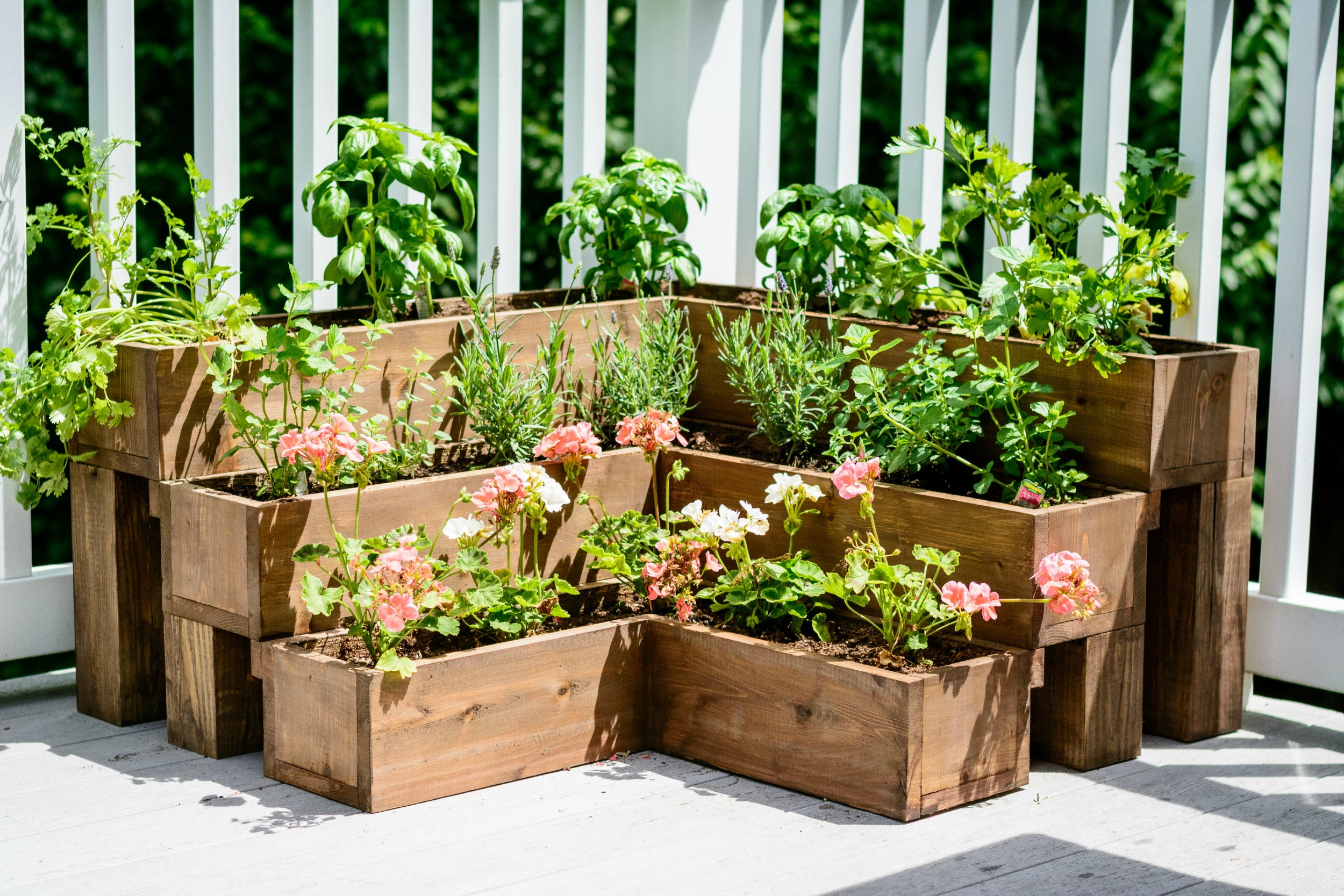 Diy Tiered Herb Garden Decor And The Dog