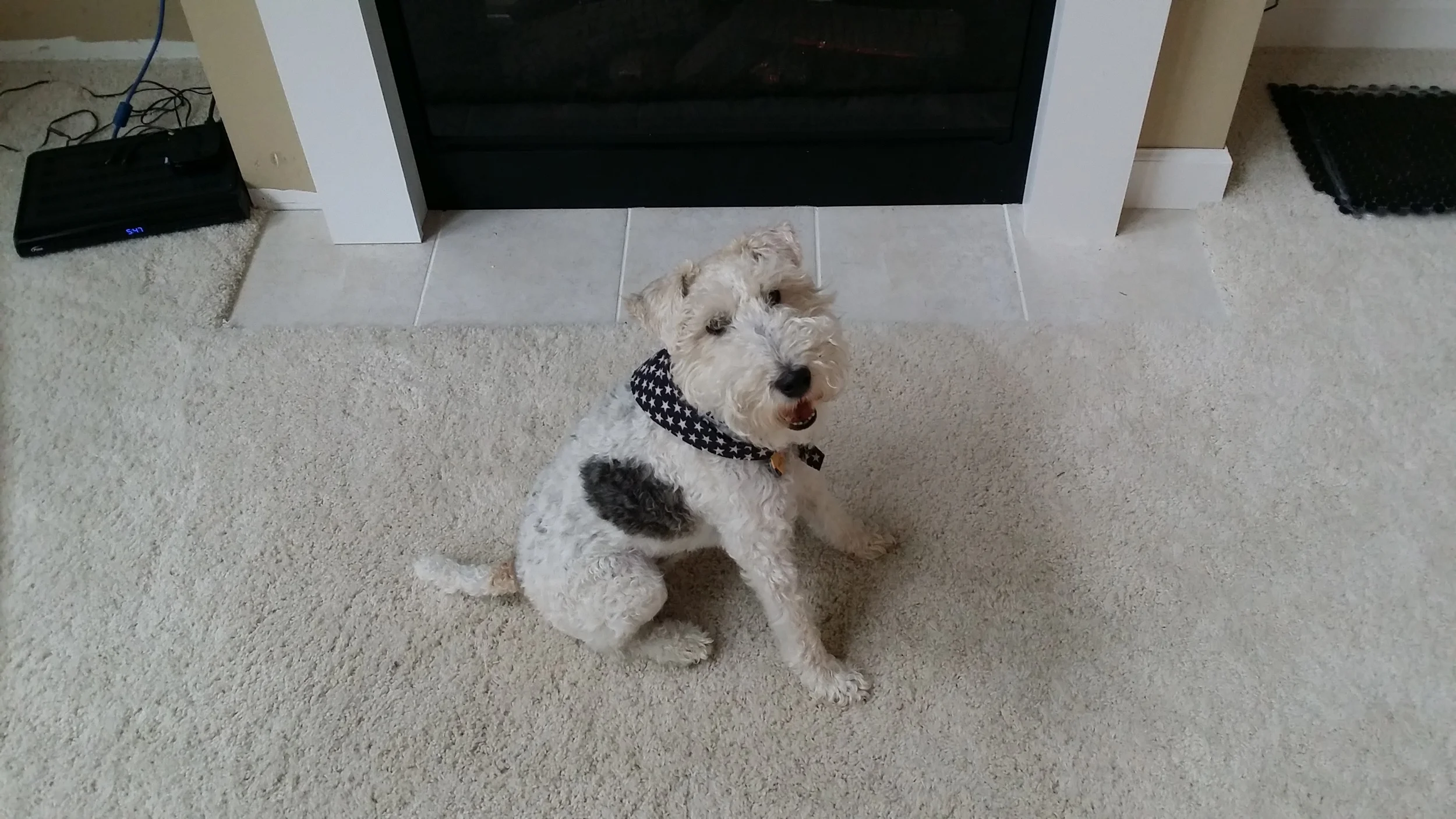 Hearth Tile Decision