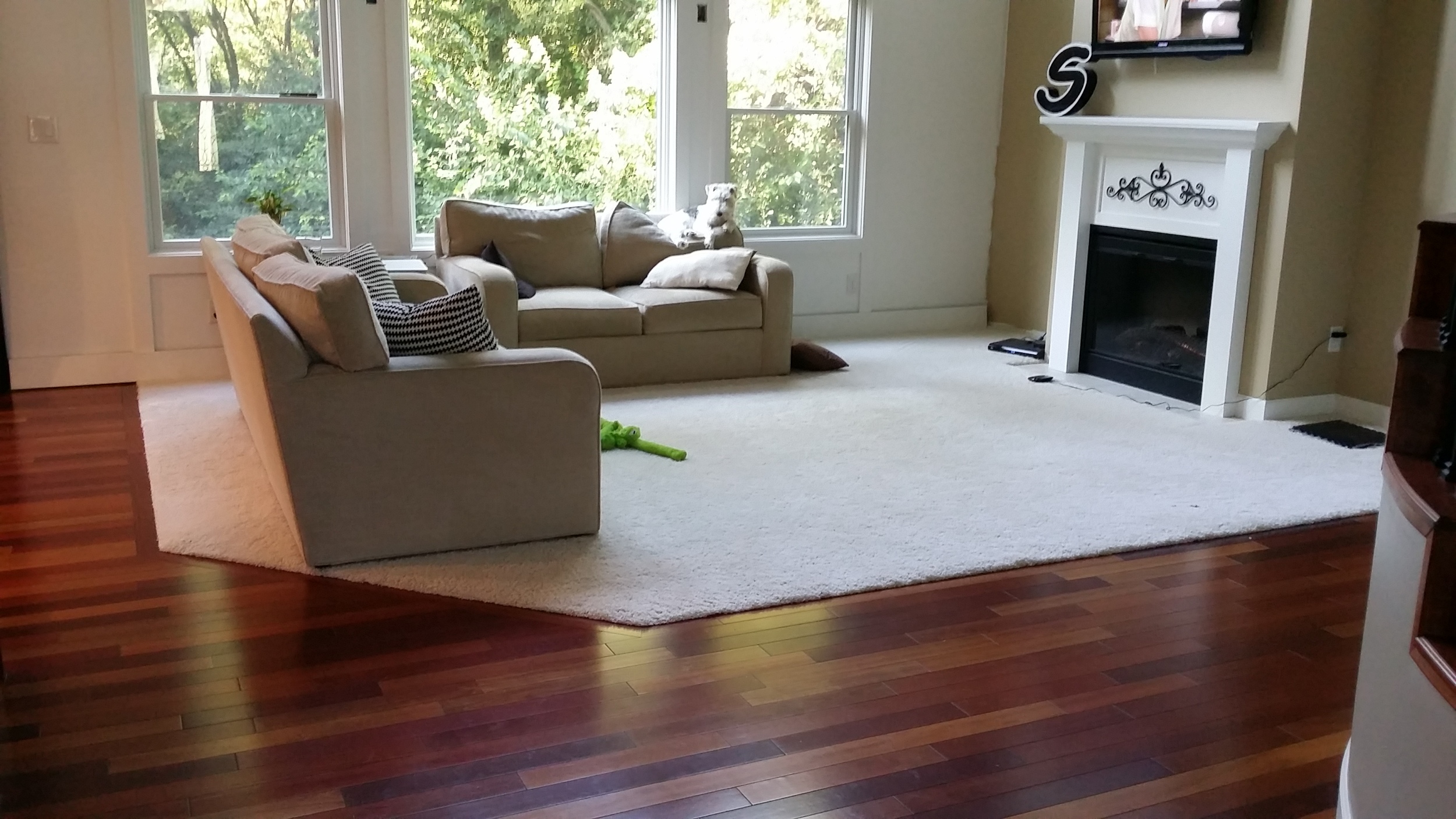 What You Need to Know About Replacing Carpet With Hardwood