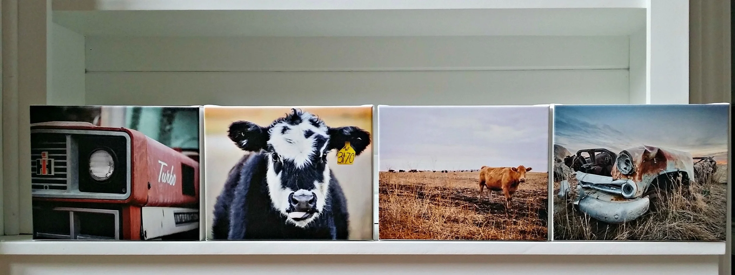 Special Photo Sale for a Friend