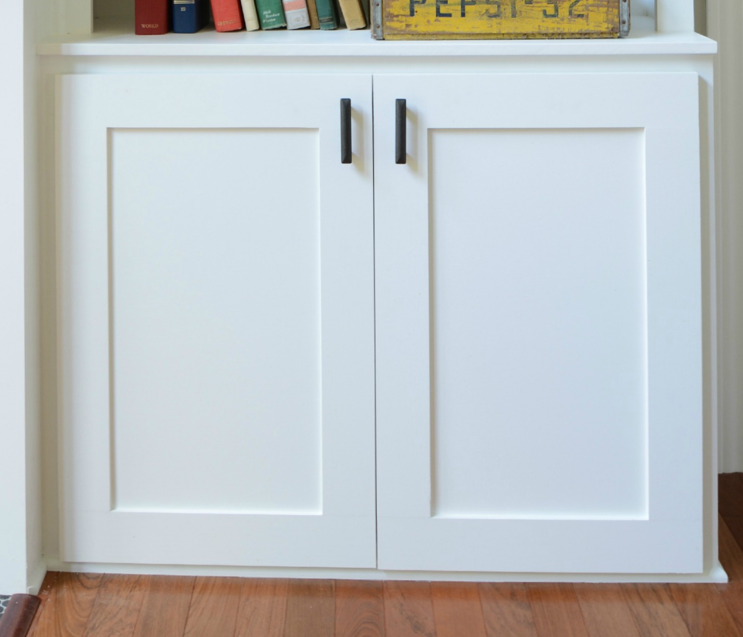 How To Build A Cabinet Door Decor And The Dog