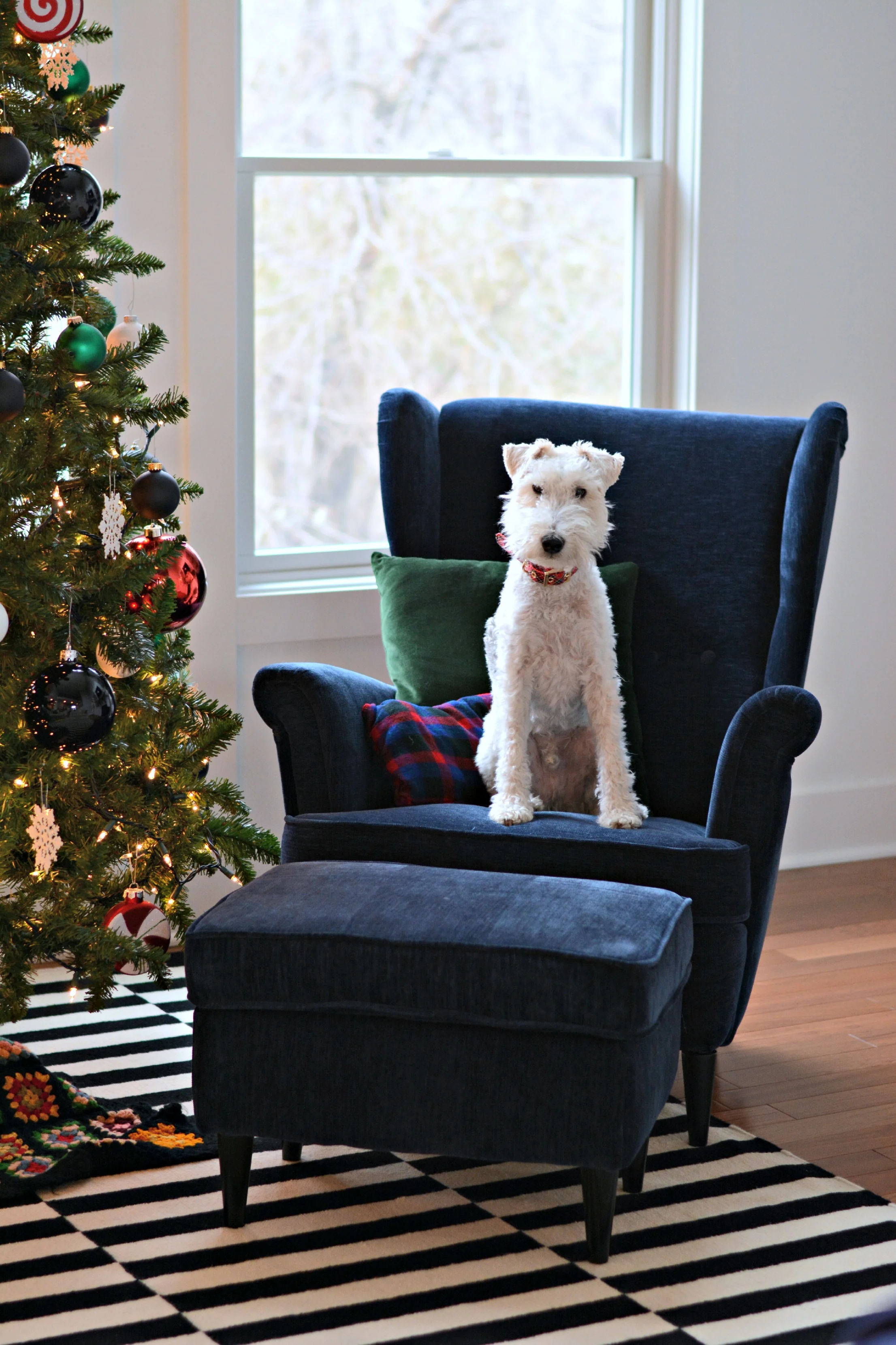 Last Minute Holiday Ideas Blog Hop