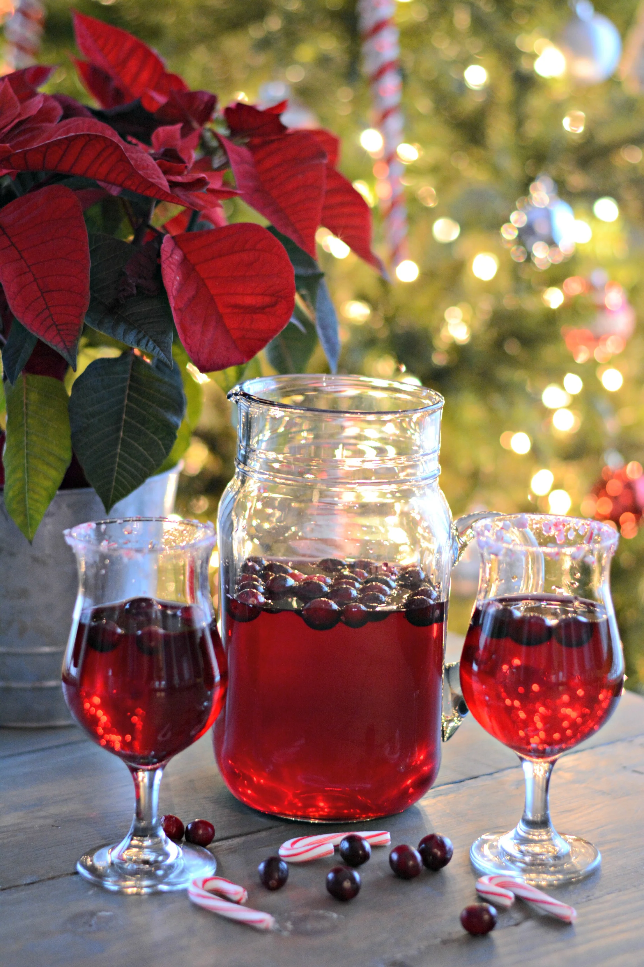 Poinsettia Punch