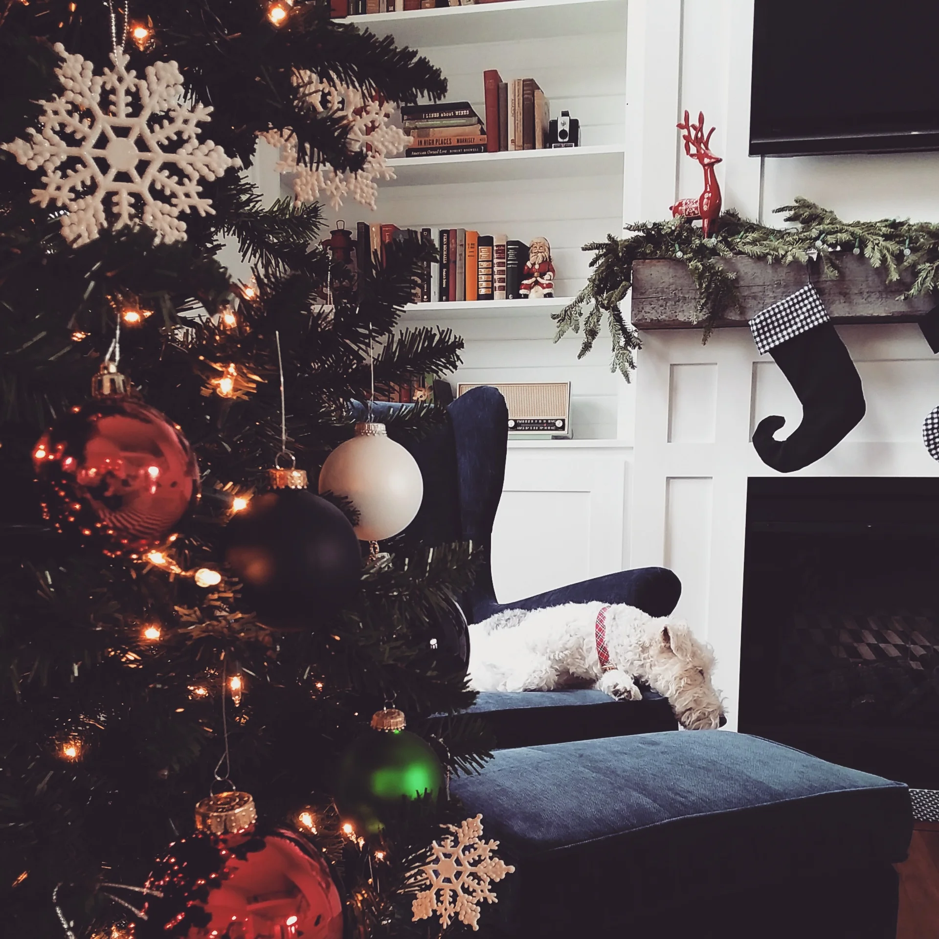 Dare to DIY Recap + Ike Photos