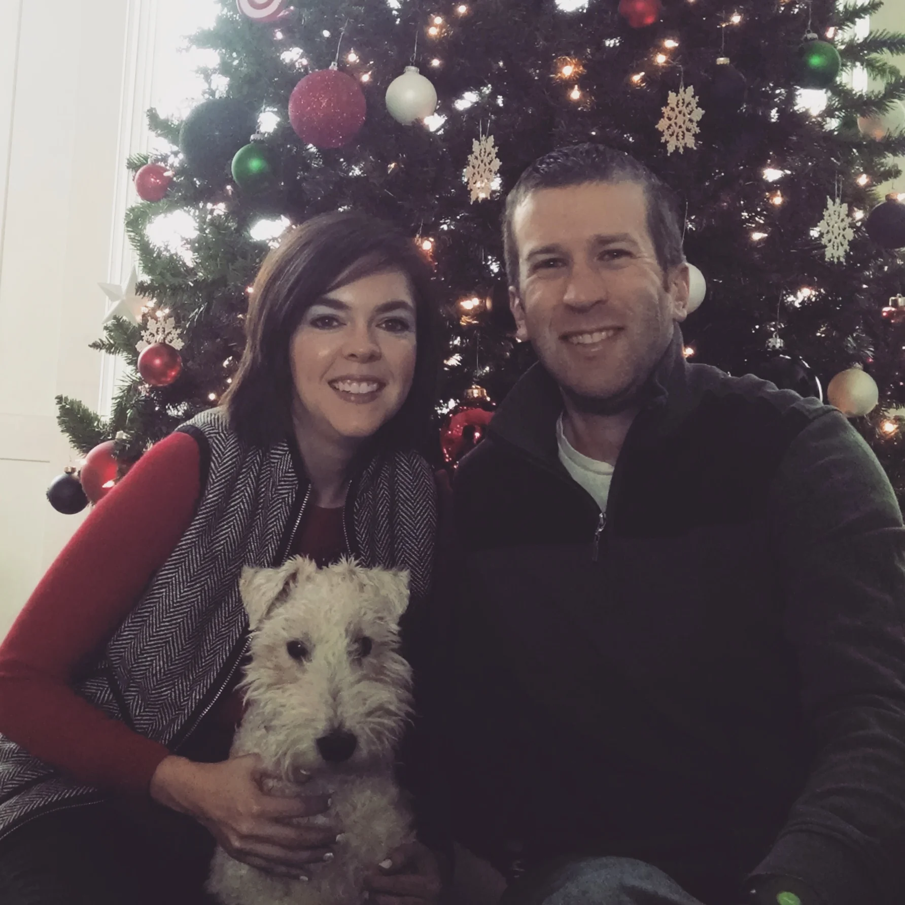 Decor and the Dog Returns