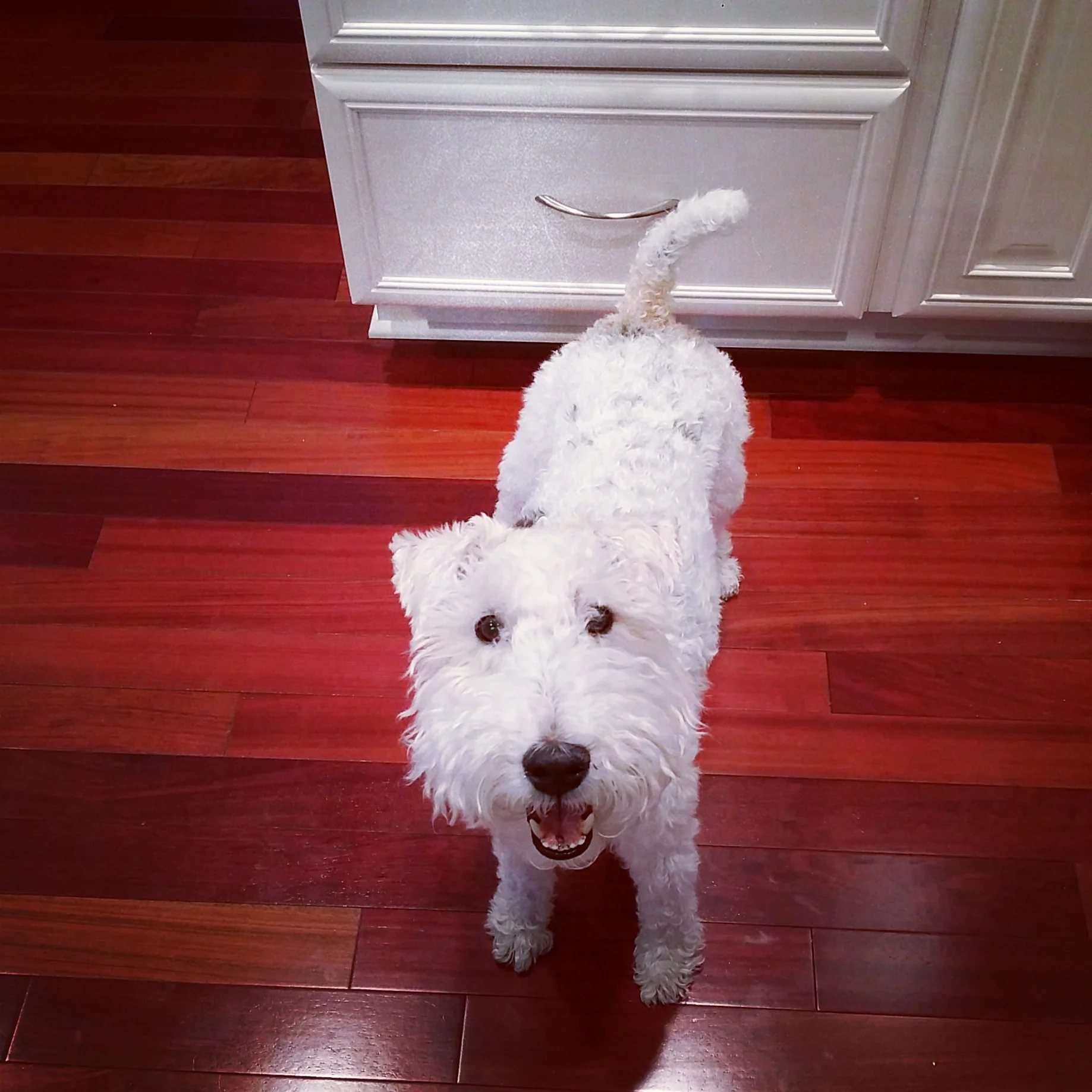 Old Wives' Tales and Gender Prediction