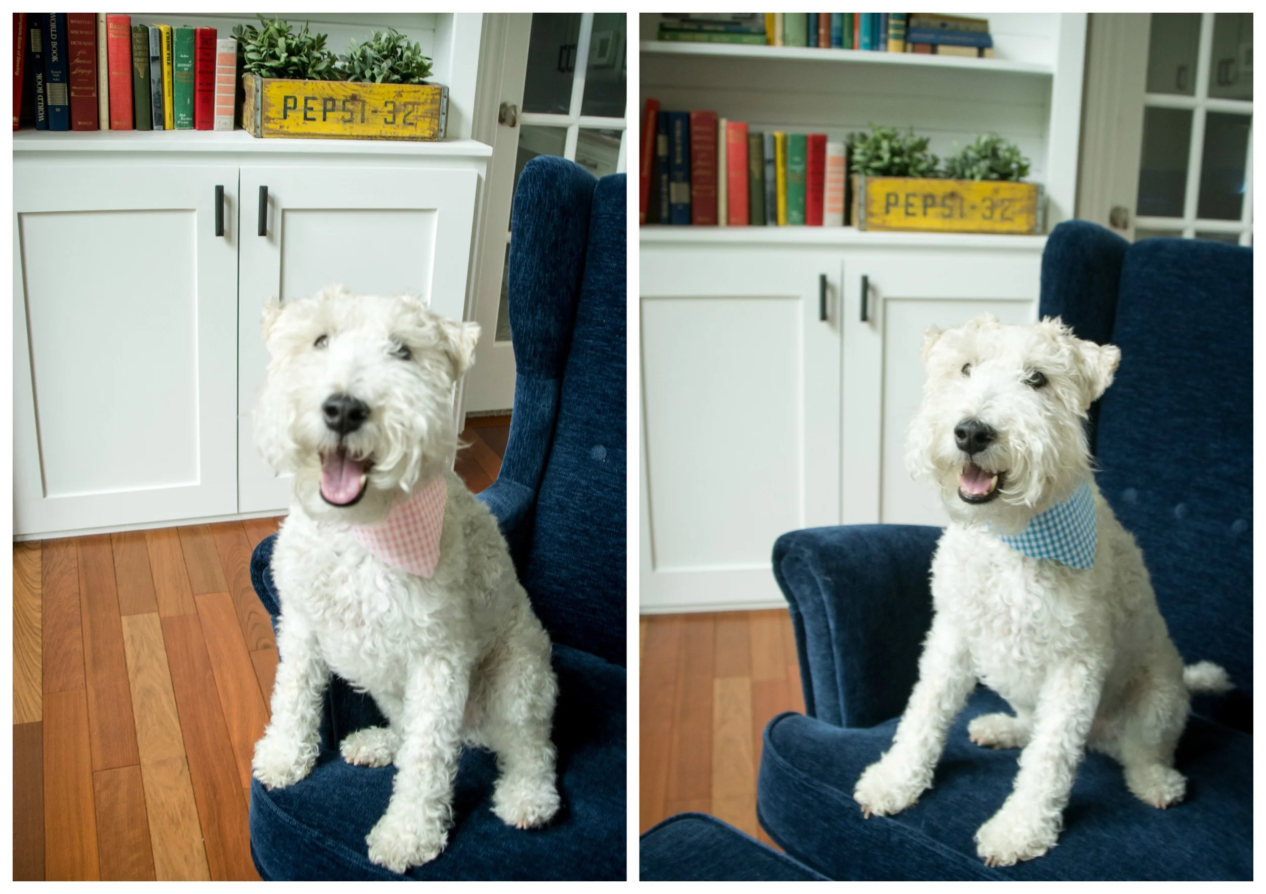 Ike Gets a Sister or a Brother?