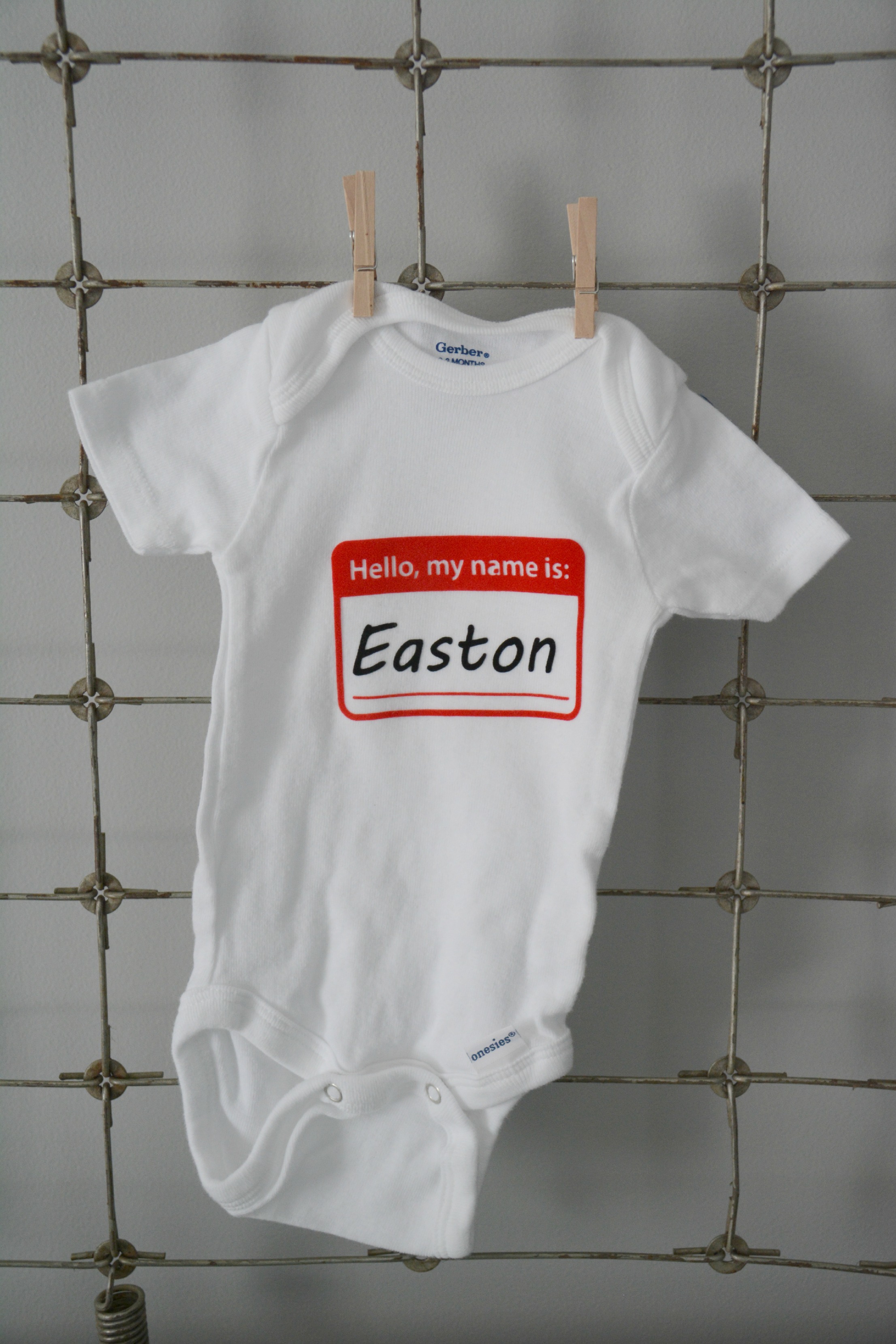 Onesie ideas 2025