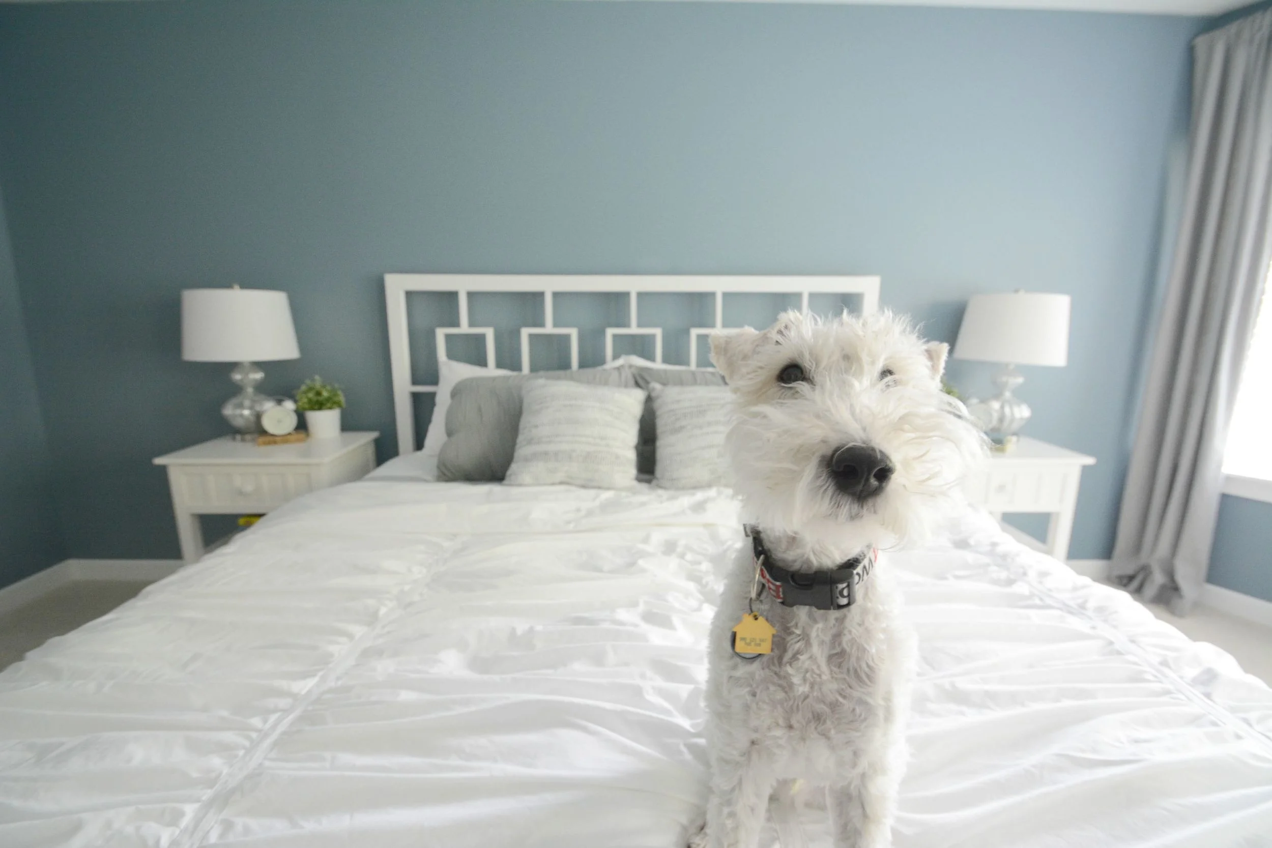 Master Bedroom Refresh