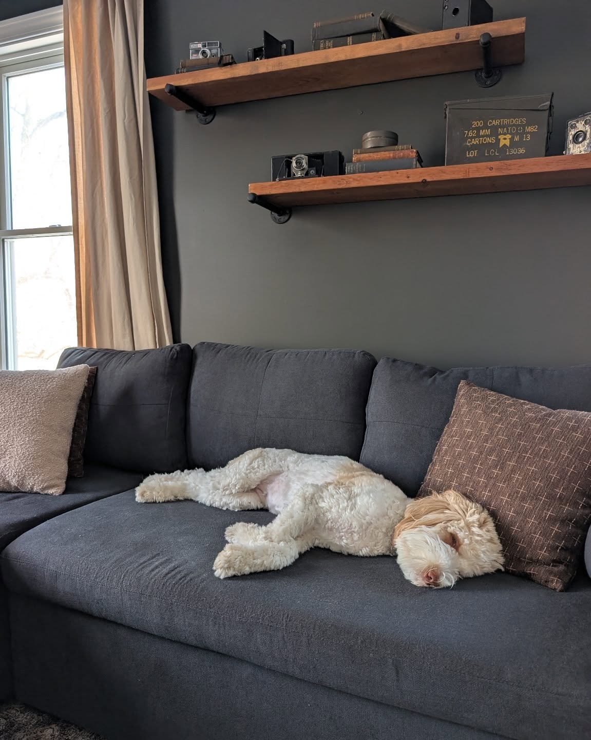 Just a girl and her couch.