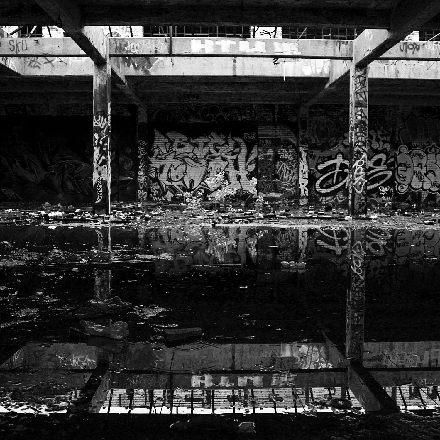 _X8A7402.jpg
