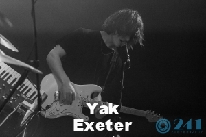 yak.jpeg
