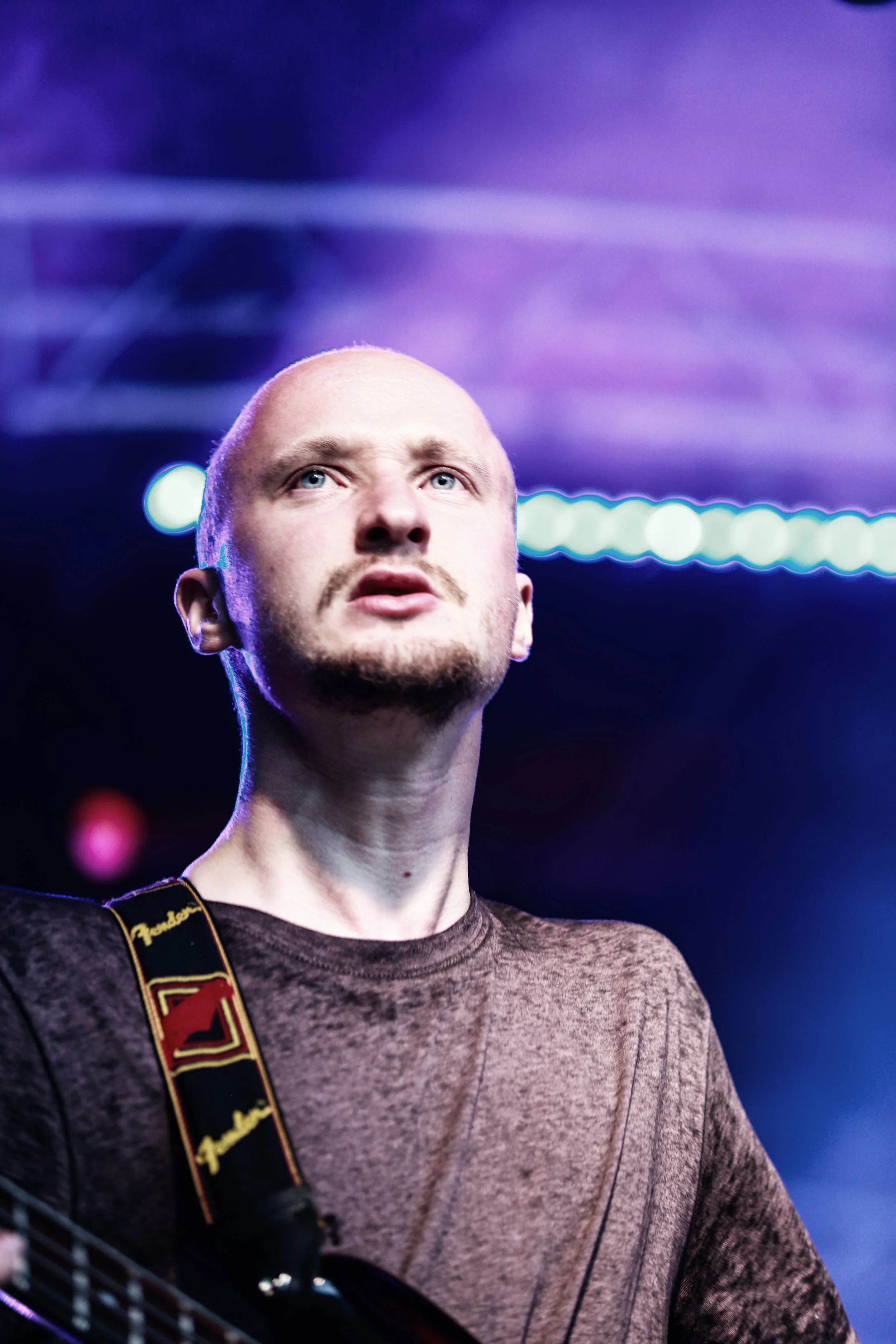 Poltimore2017-7.jpg
