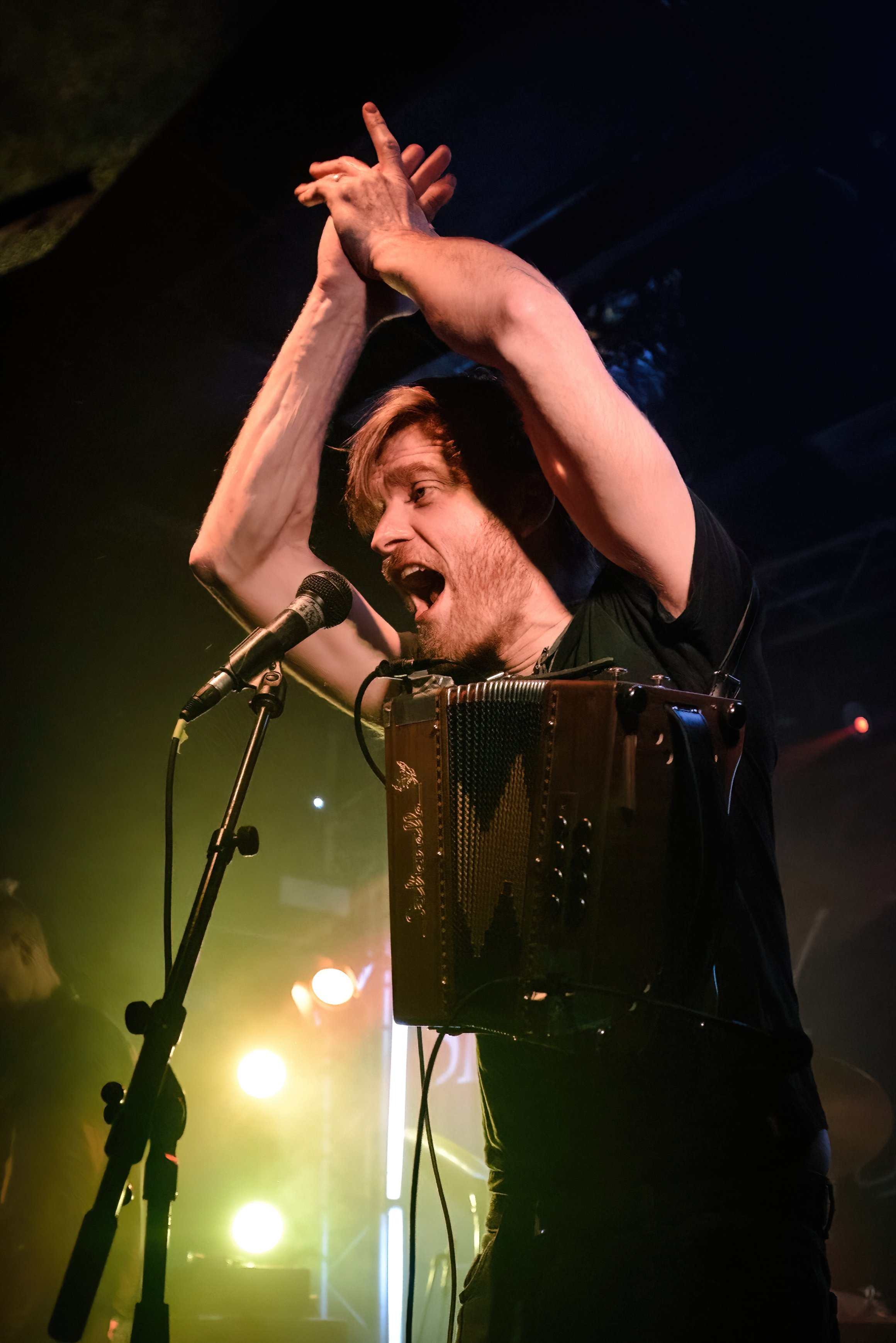 DSC_6719-DeNoiseAI-severe-noise-DeNoiseAI-severe-noise.jpg