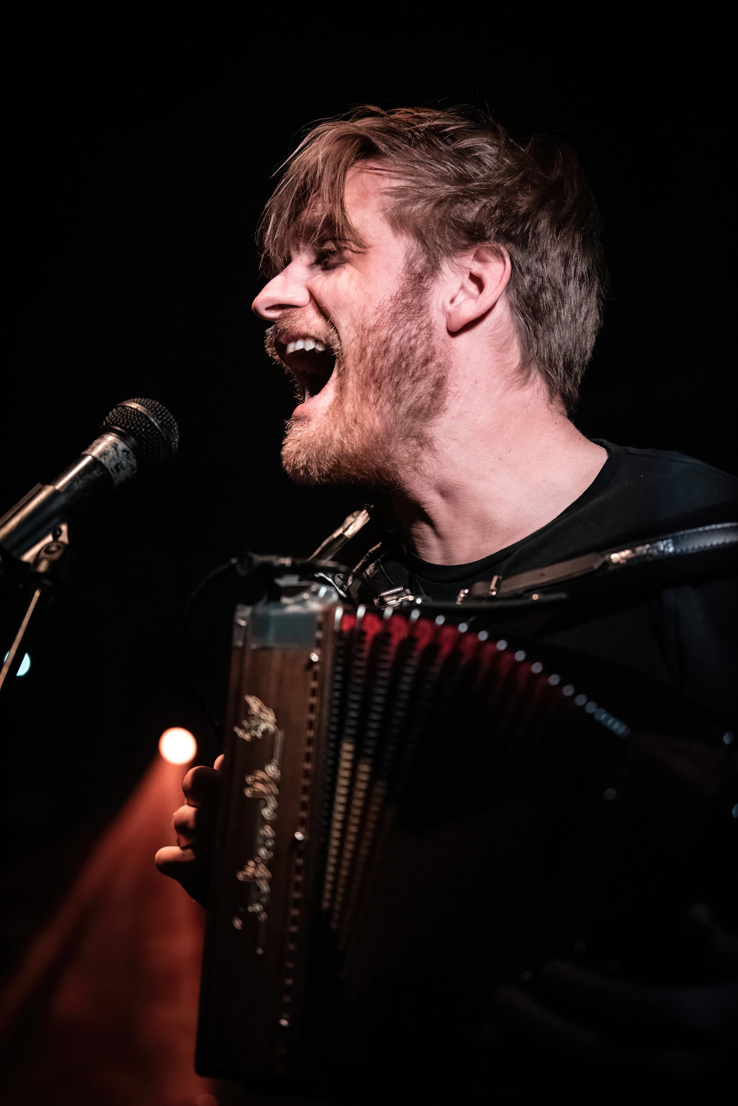 DSC_8931-DeNoiseAI-severe-noise-DeNoiseAI-severe-noise.jpg