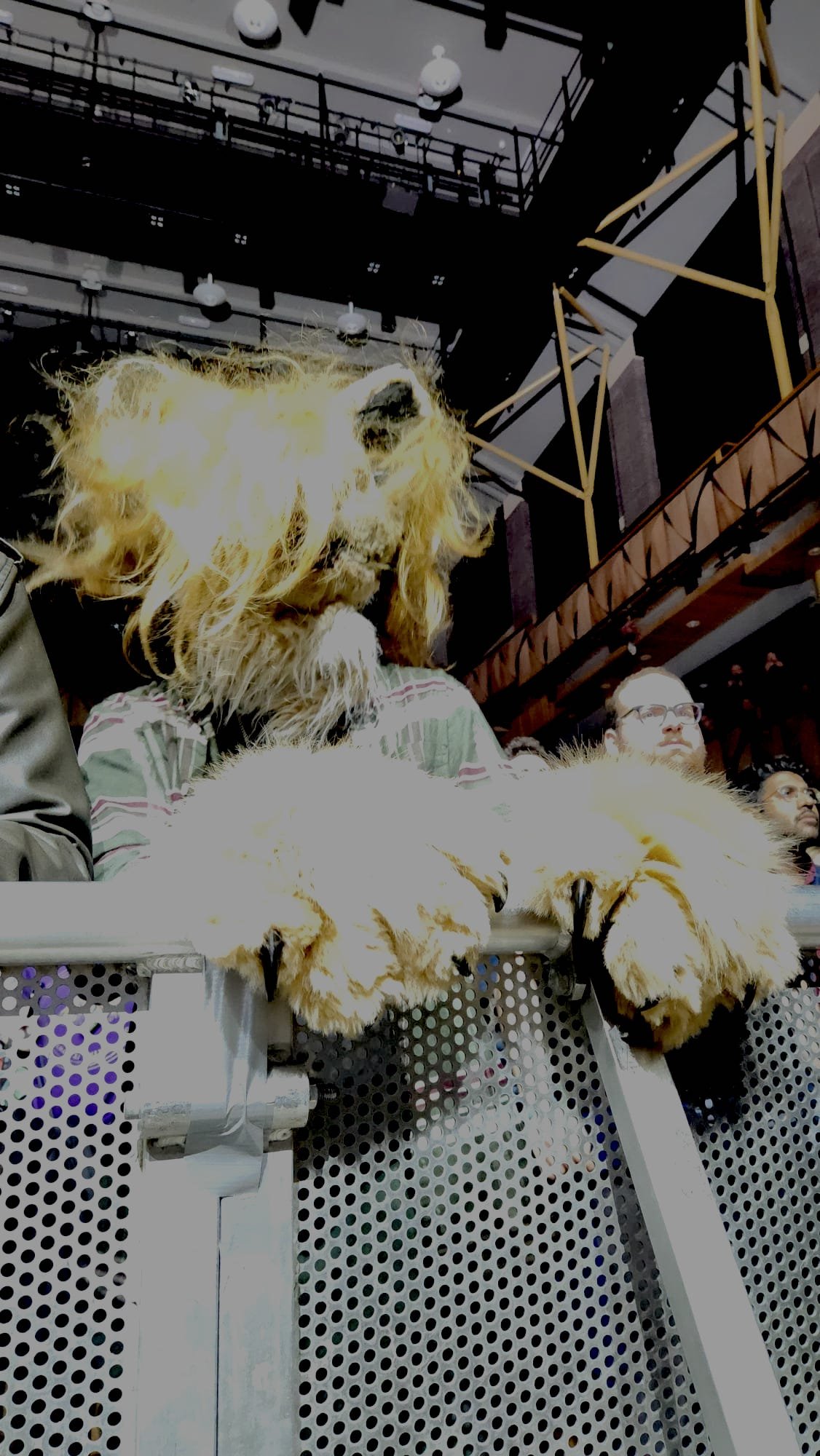 Photo from Steve Muscutt(3).jpg