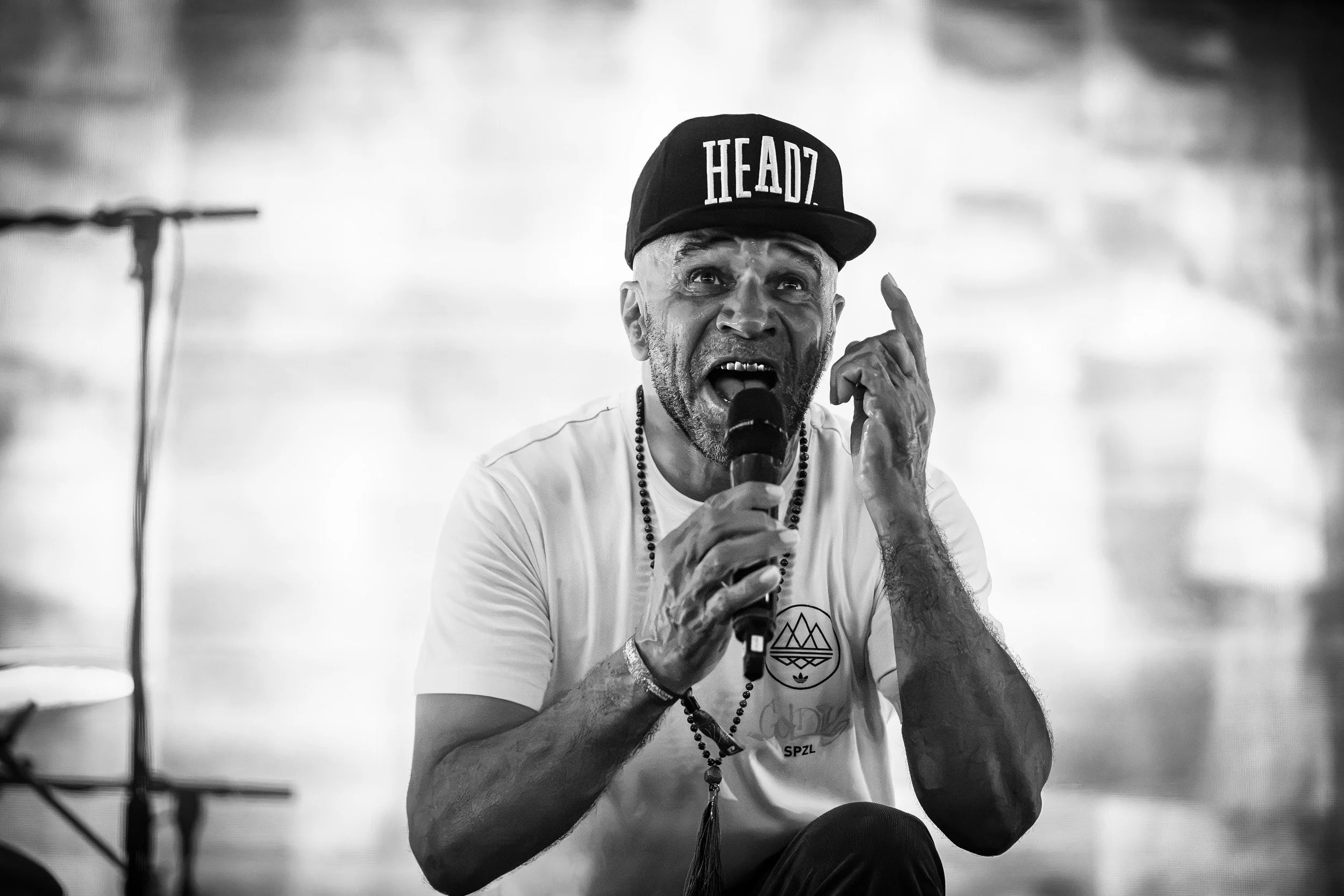 20260809-Goldie-6.jpg