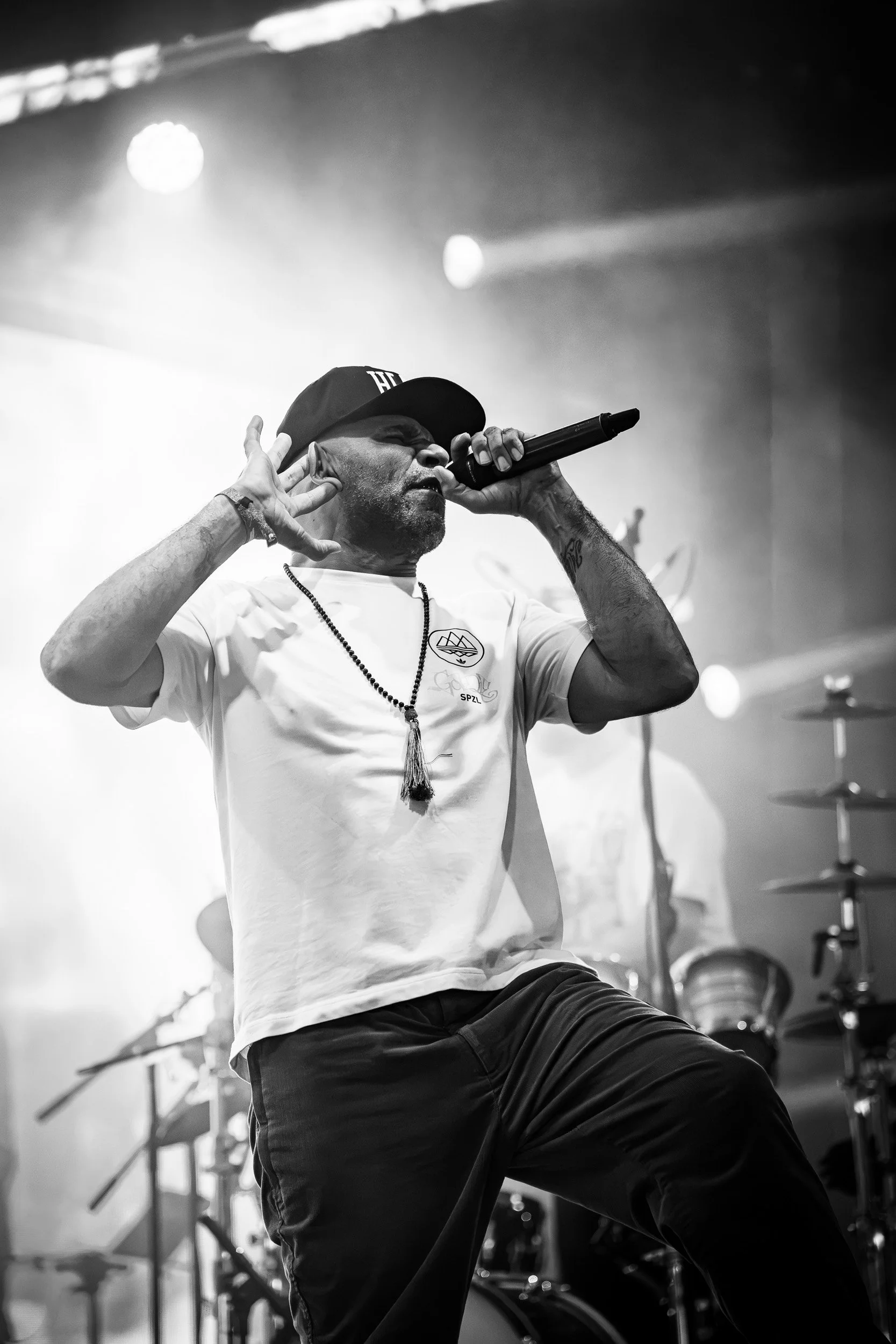 20260809-Goldie-4.jpg