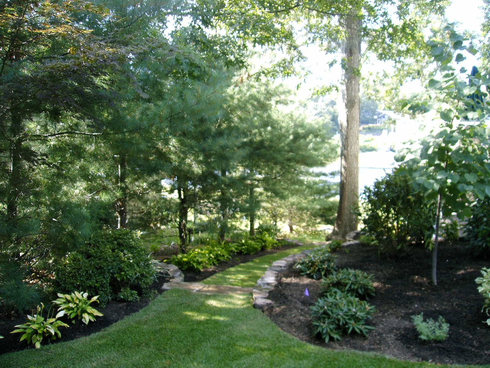 Landscape 11.jpg