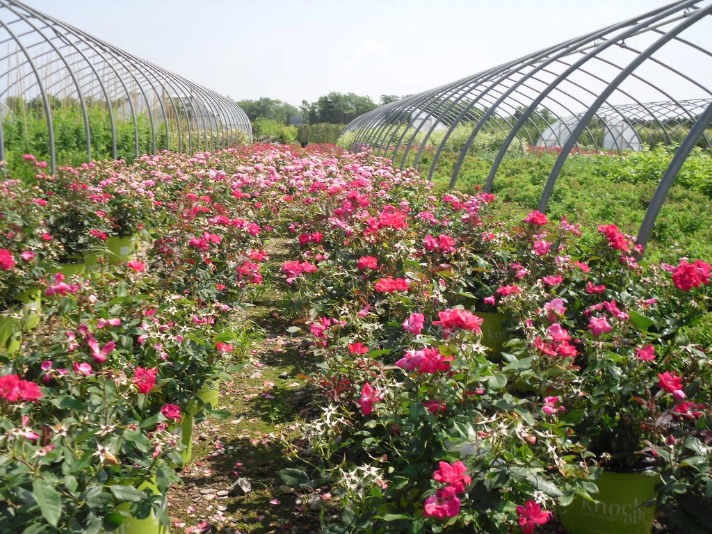 nursery photos 014.jpg