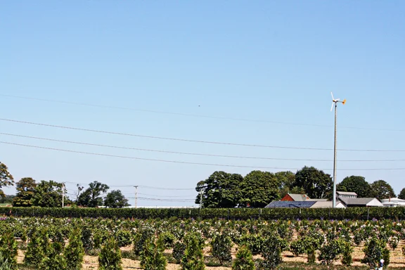millroad-29.jpg