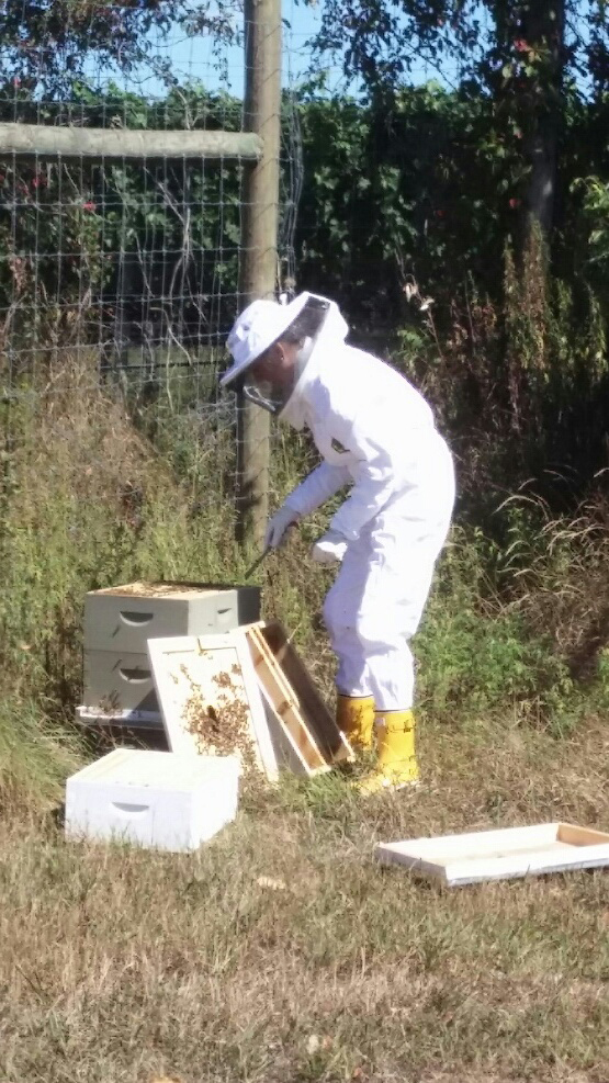 lisa_beekeeper8.jpg