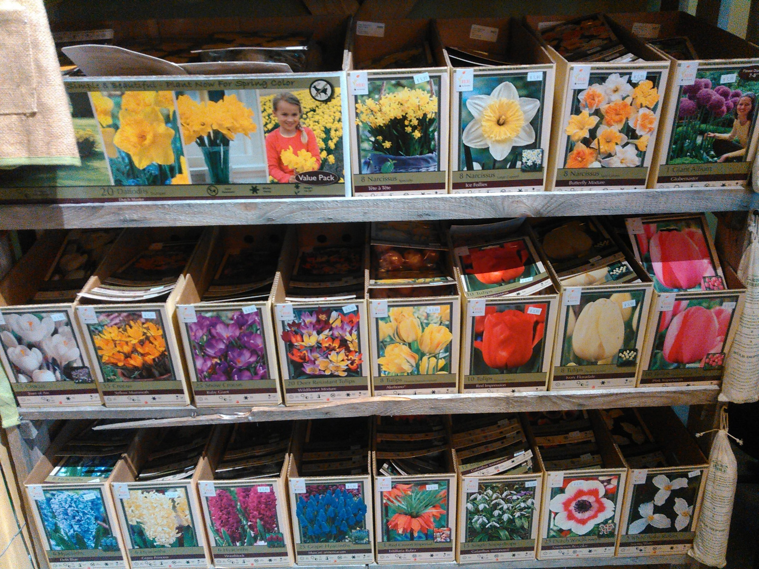bulbs17.jpg