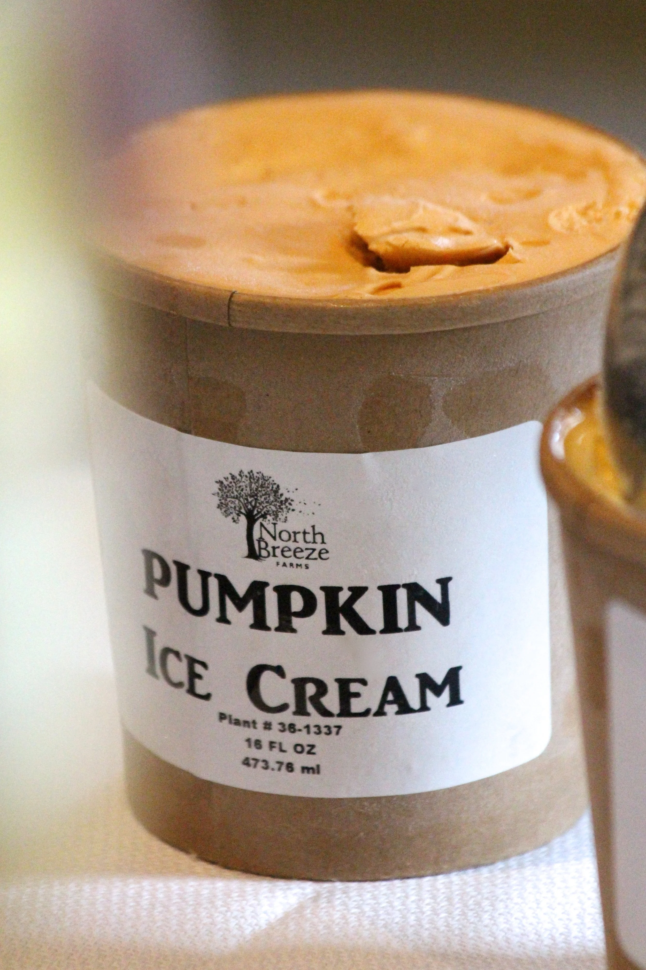 Pumpkin Ice Cream $5.99