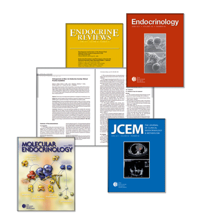 Journal cover and internal spread