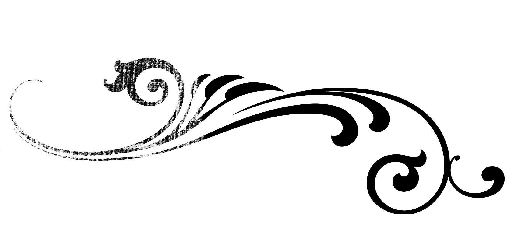 flourish2.png
