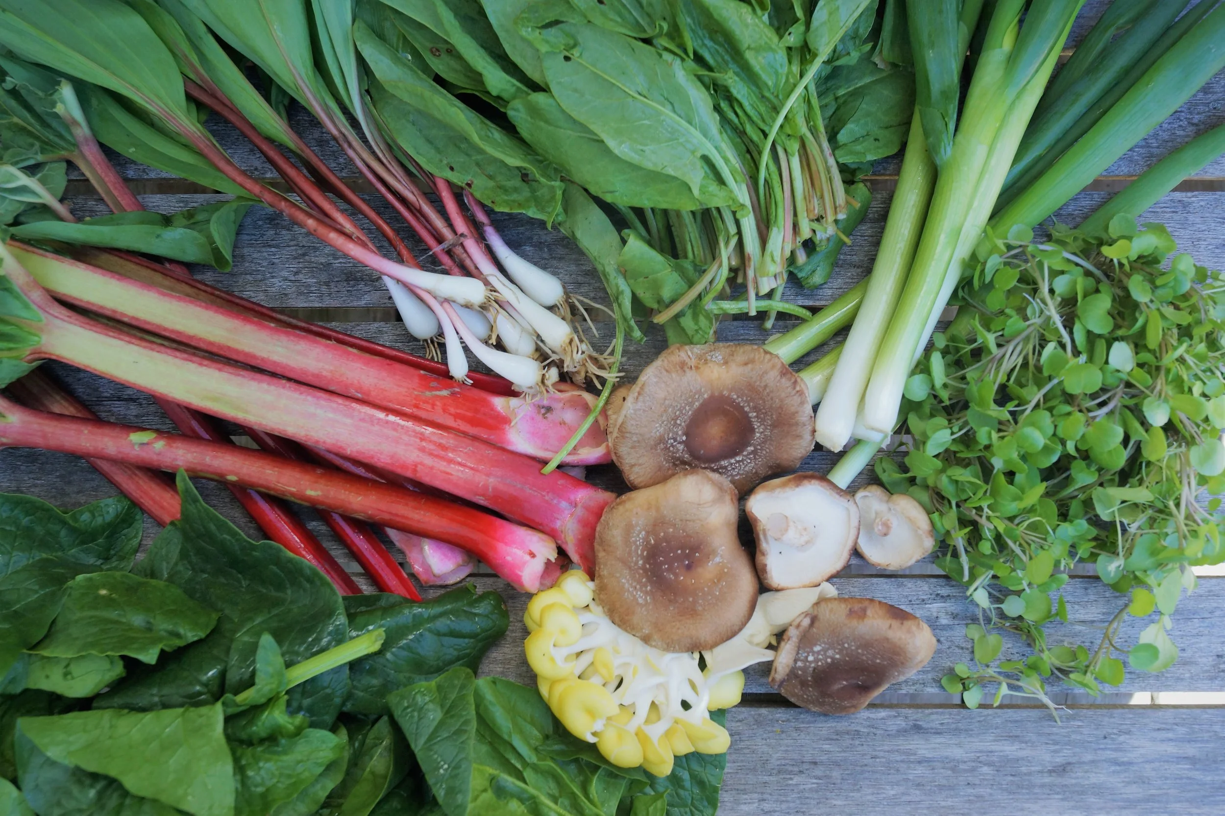 4.25.17 Wisconsin Grown | Part 2