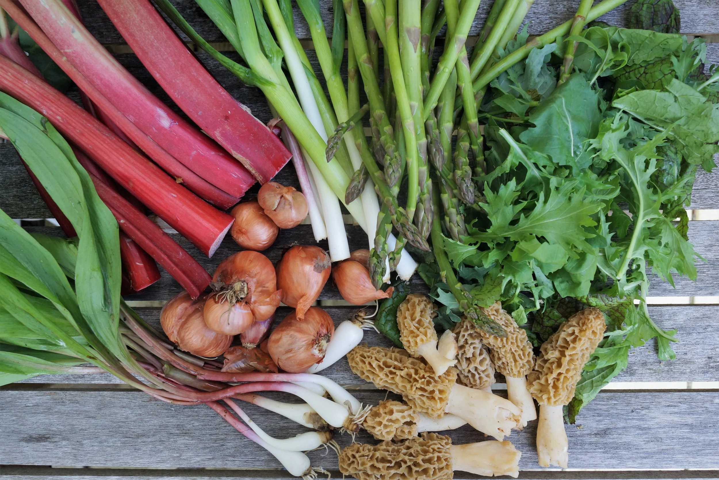 5.2.17 Wisconsin Grown | Part 3