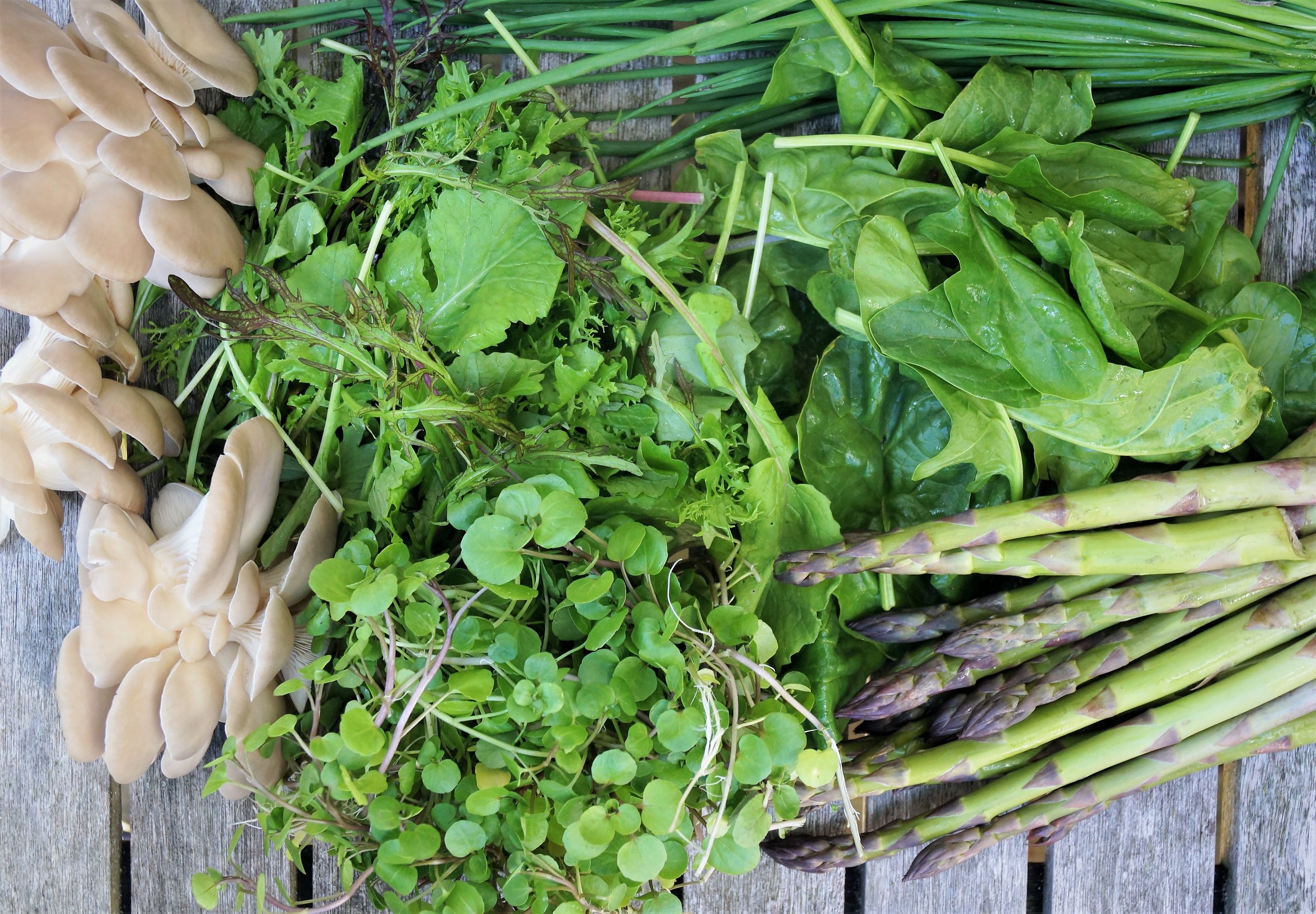 5.9.17 Wisconsin Grown | Part 4