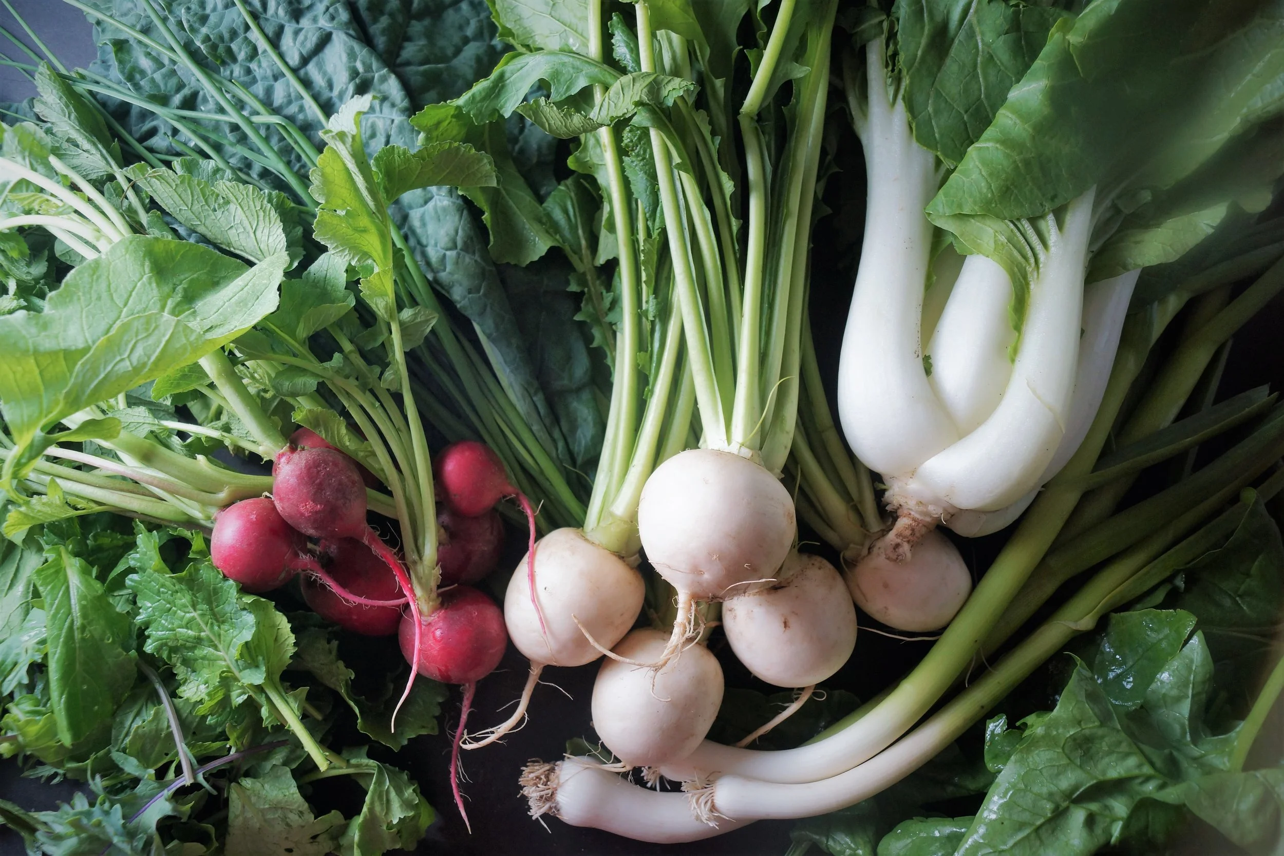 6.7.17 Wisconsin Grown | Part 6