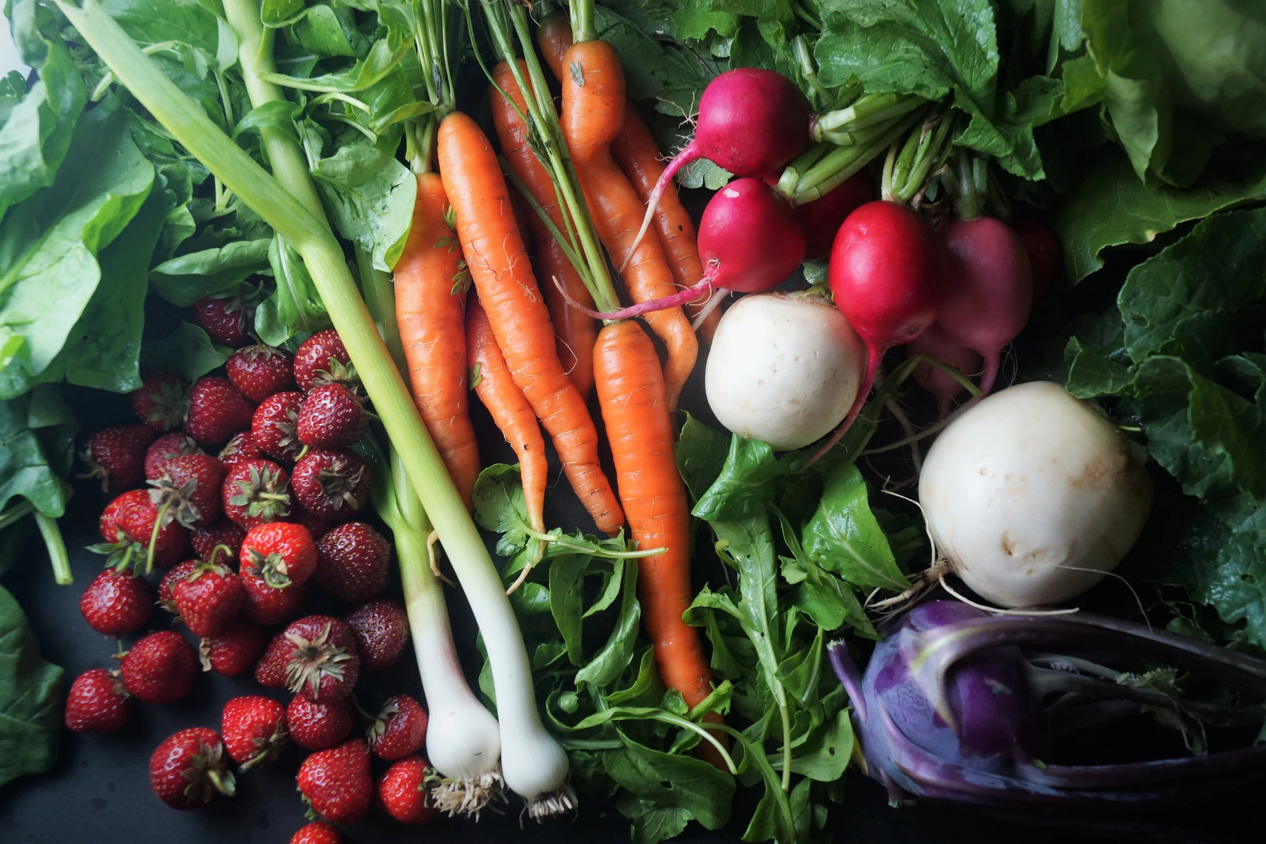 6.14.17 Wisconsin Grown | Part 7