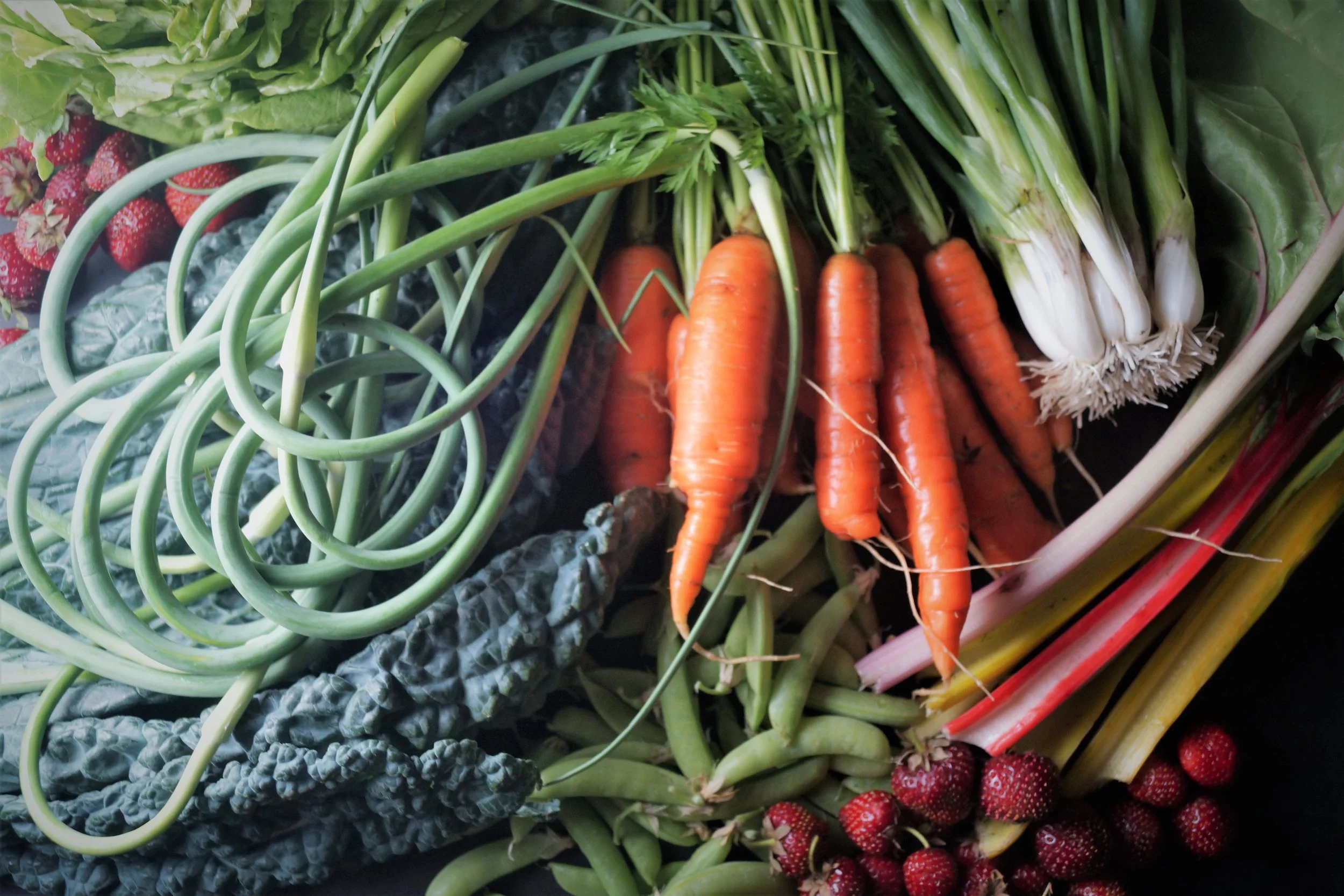 6.21.17 Wisconsin Grown | Part 8