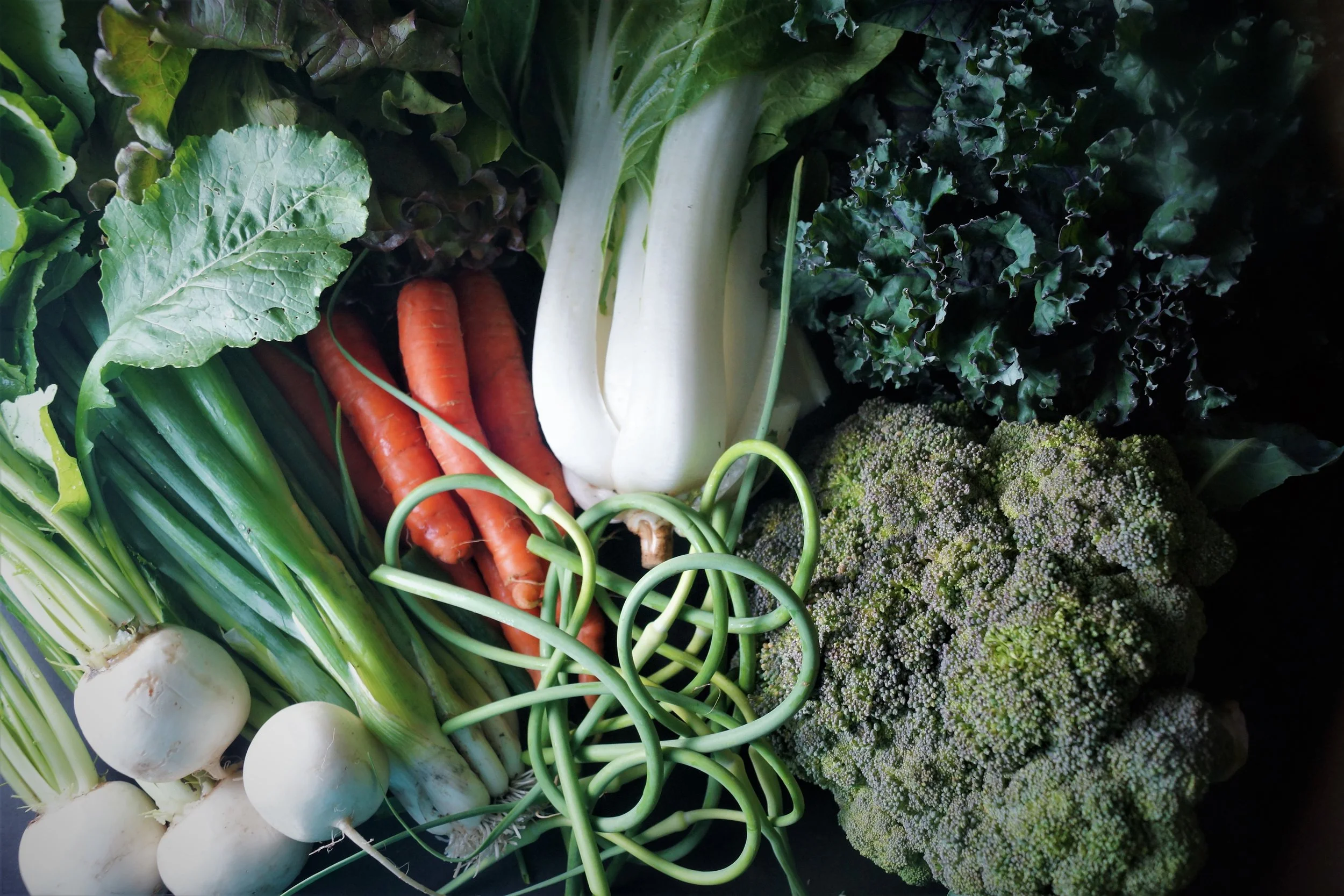 6.28.17 Wisconsin Grown | Part 9