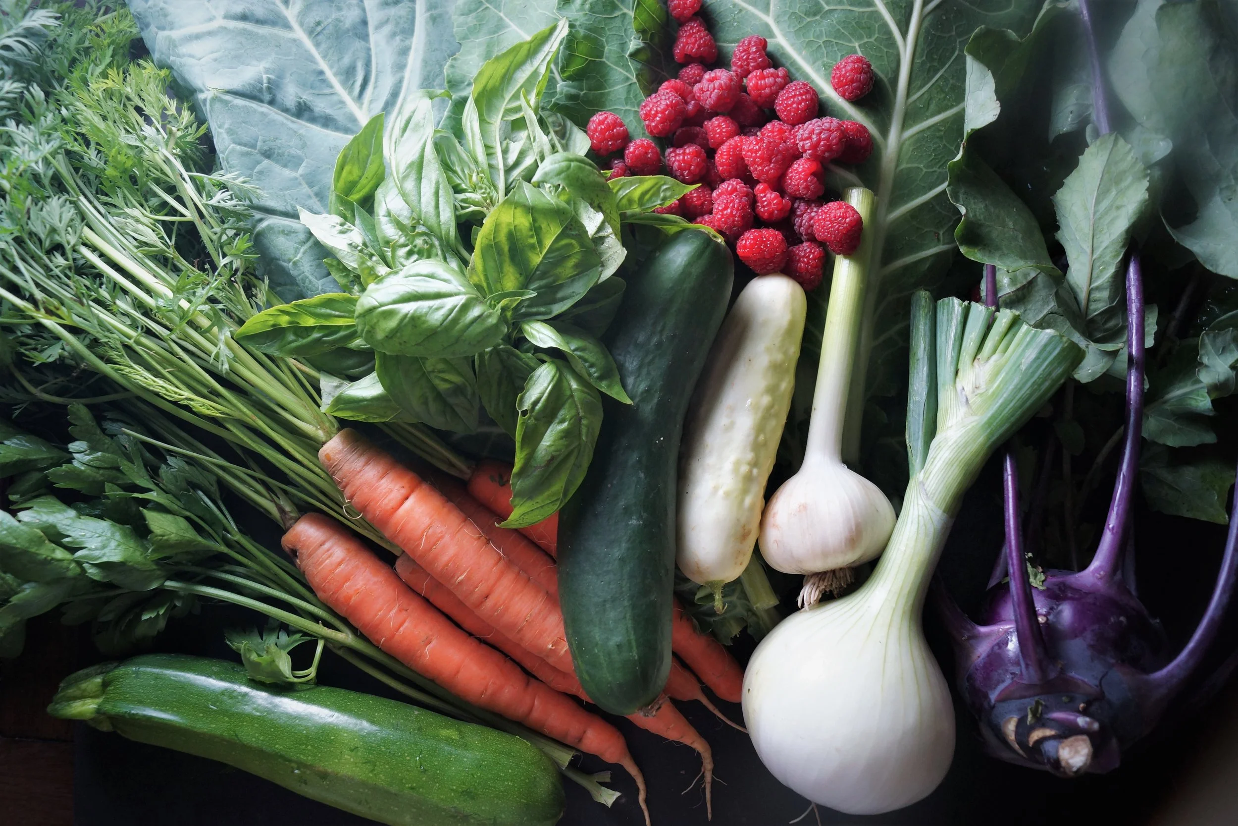 7.12.17 Wisconsin Grown | Part 10