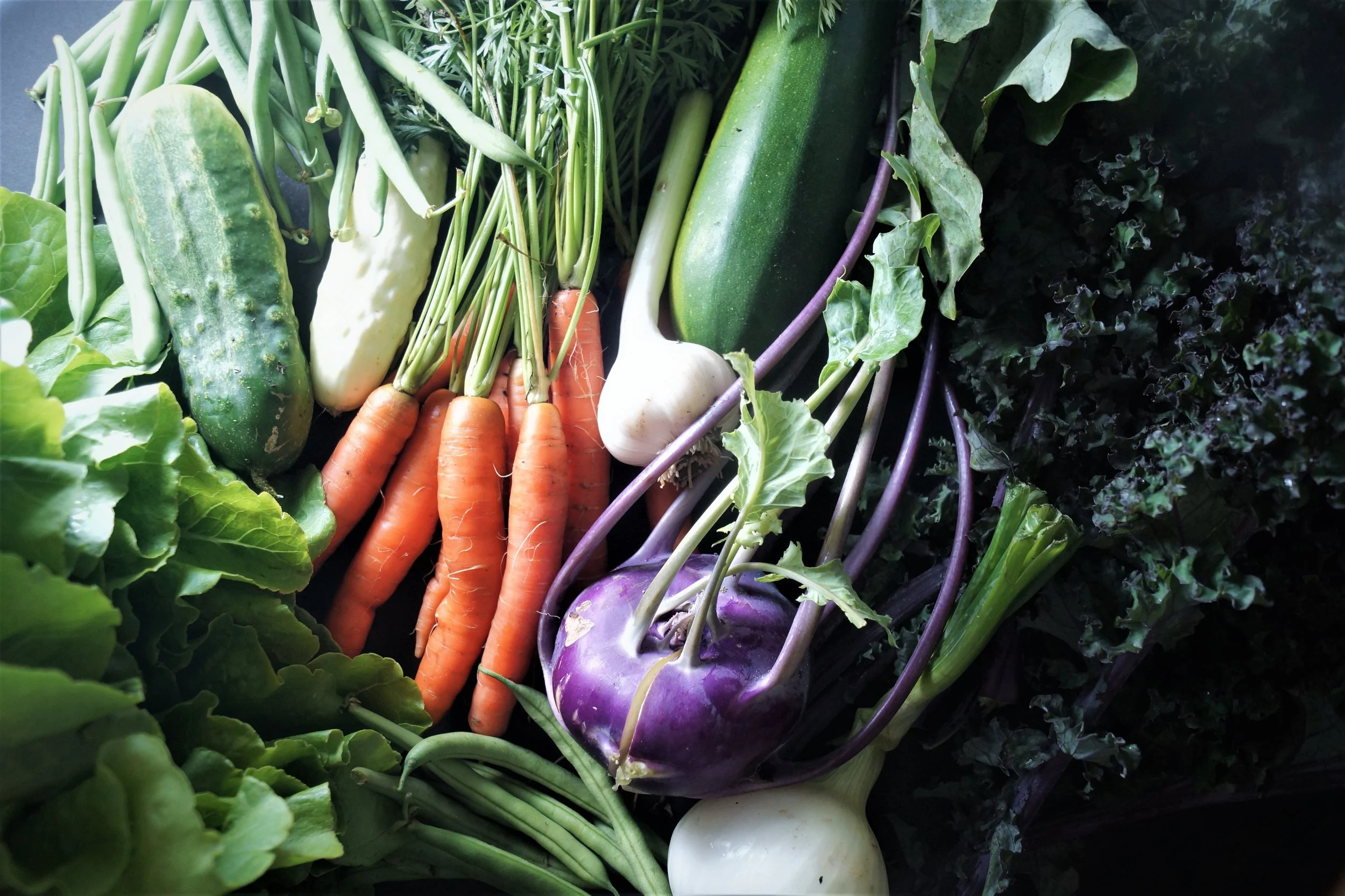 7.19.17 Wisconsin Grown | Part 11