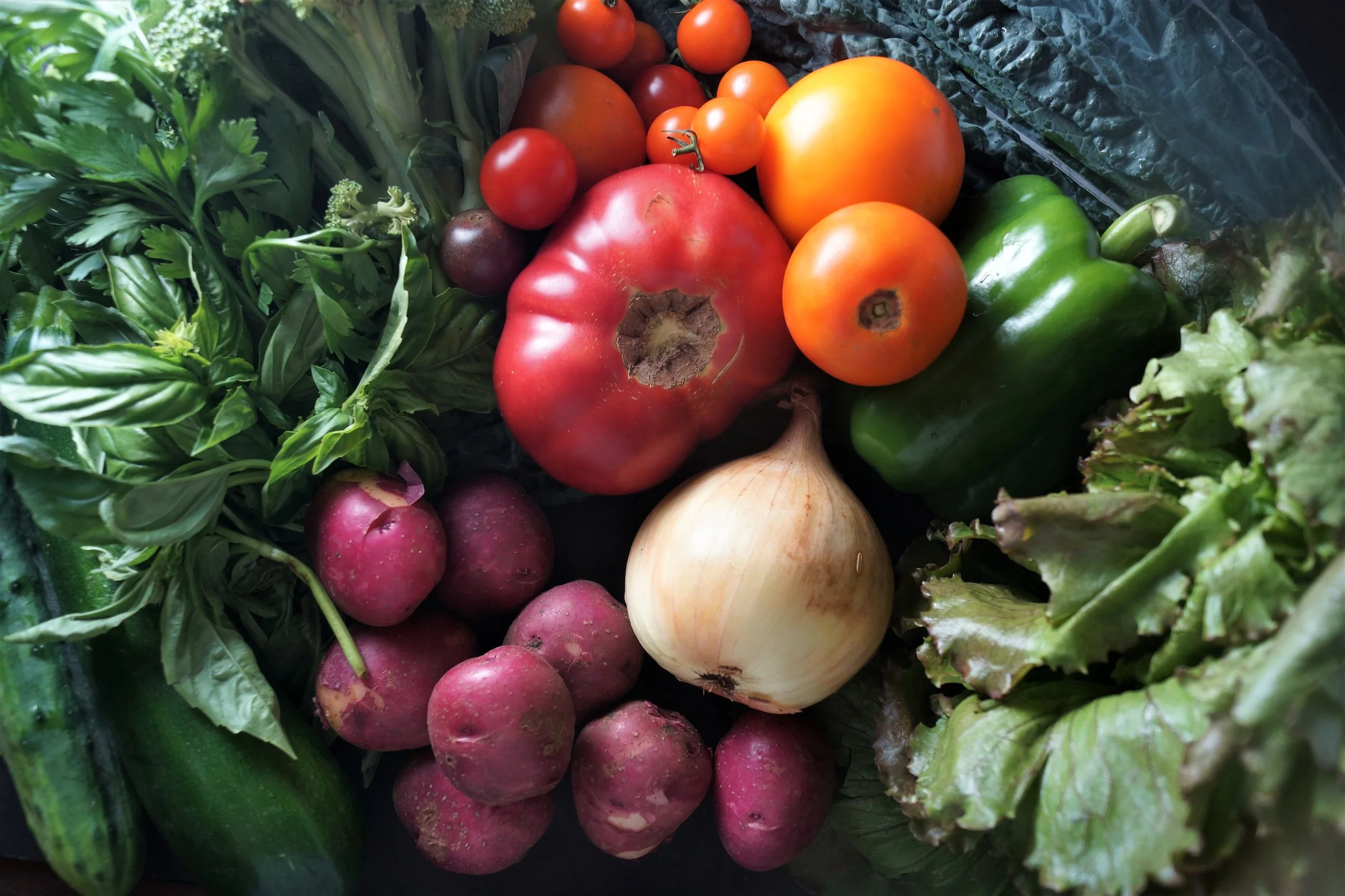 8.2.17 Wisconsin Grown | Part 13